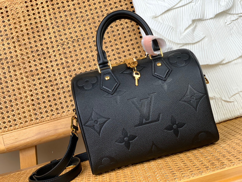 Louis Vuitton Bags