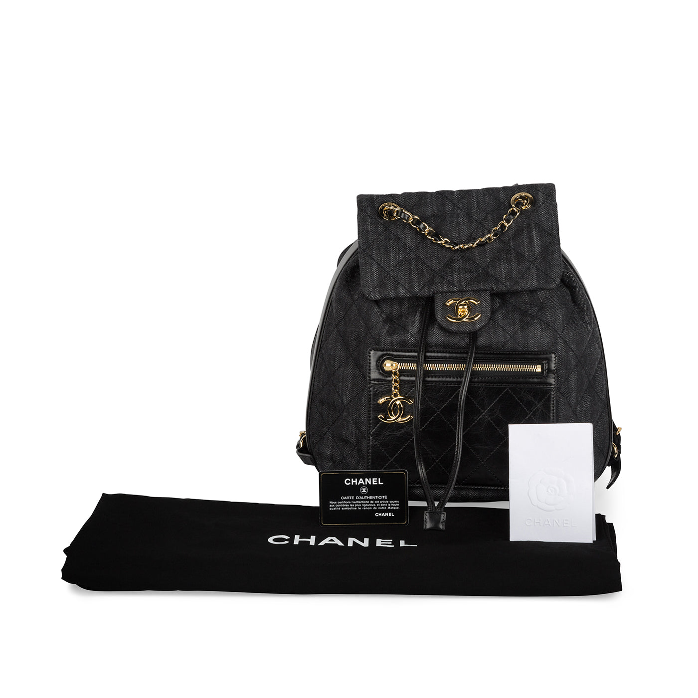 Chanel Metiers d'Art Cosmopolite Backpack