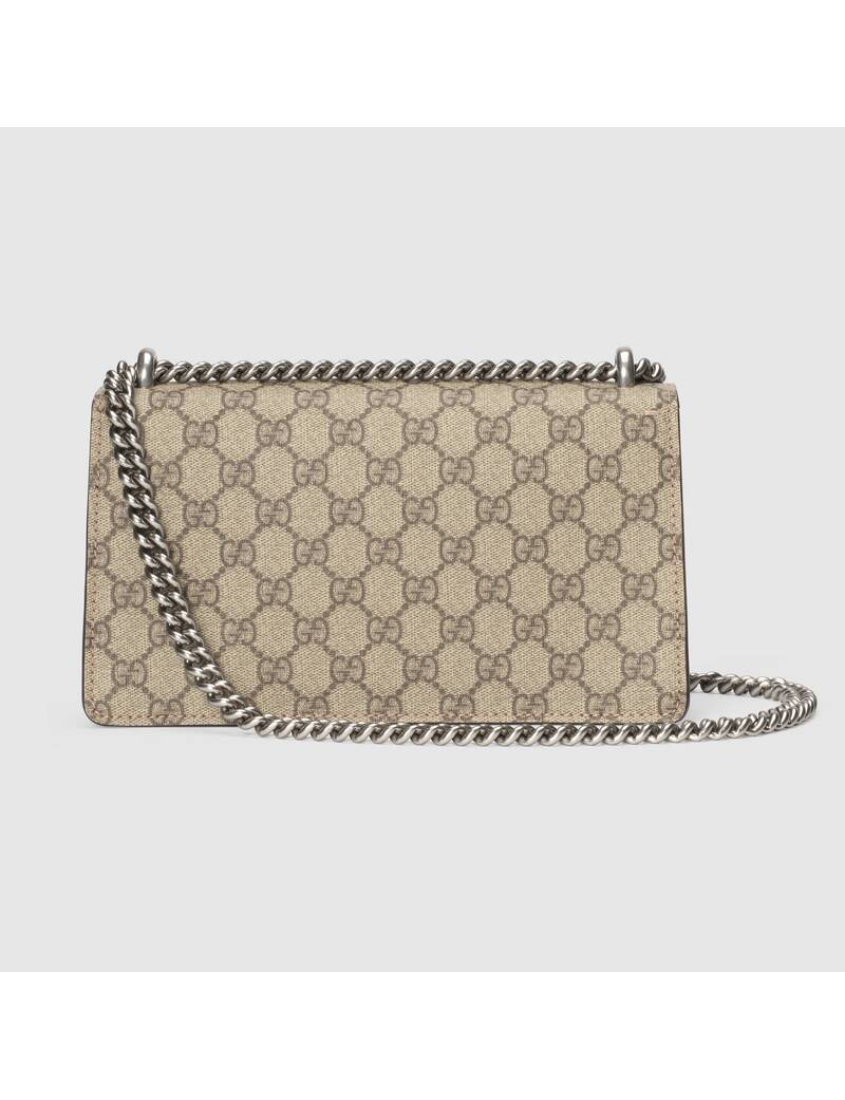 Gucci Crossbody Style 16