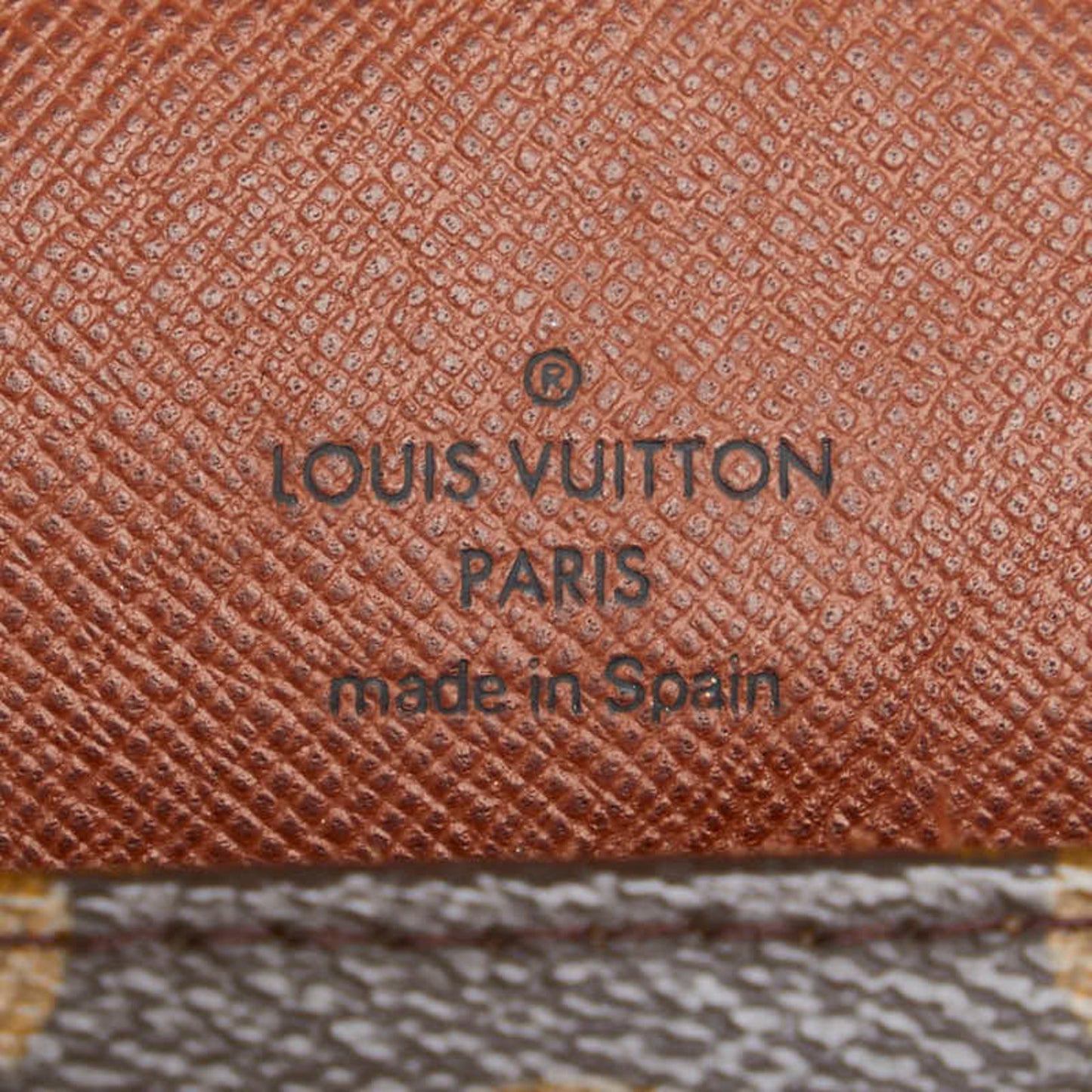 Louis Vuitton Pvc Leather Shoulder Bag