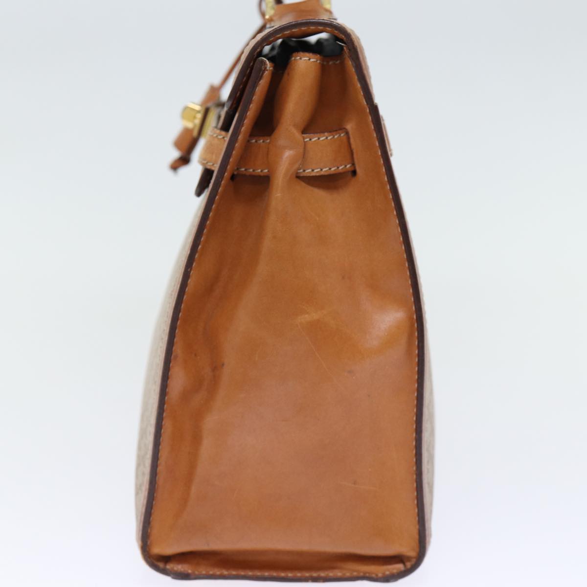 Luxury CELINE Macadam Canvas Hand Bag Beige 73341