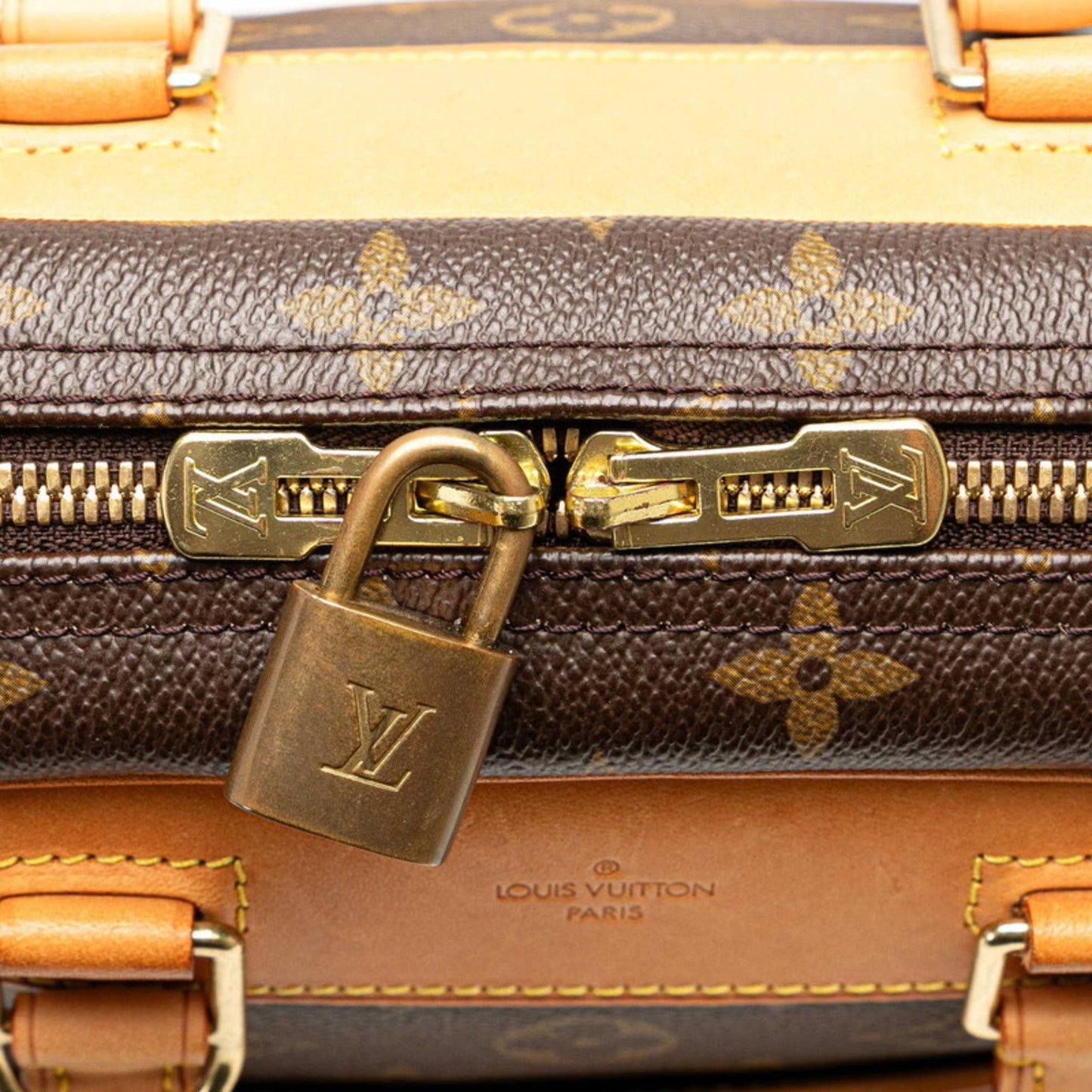 Louis Vuitton Pvc Leather Handbag