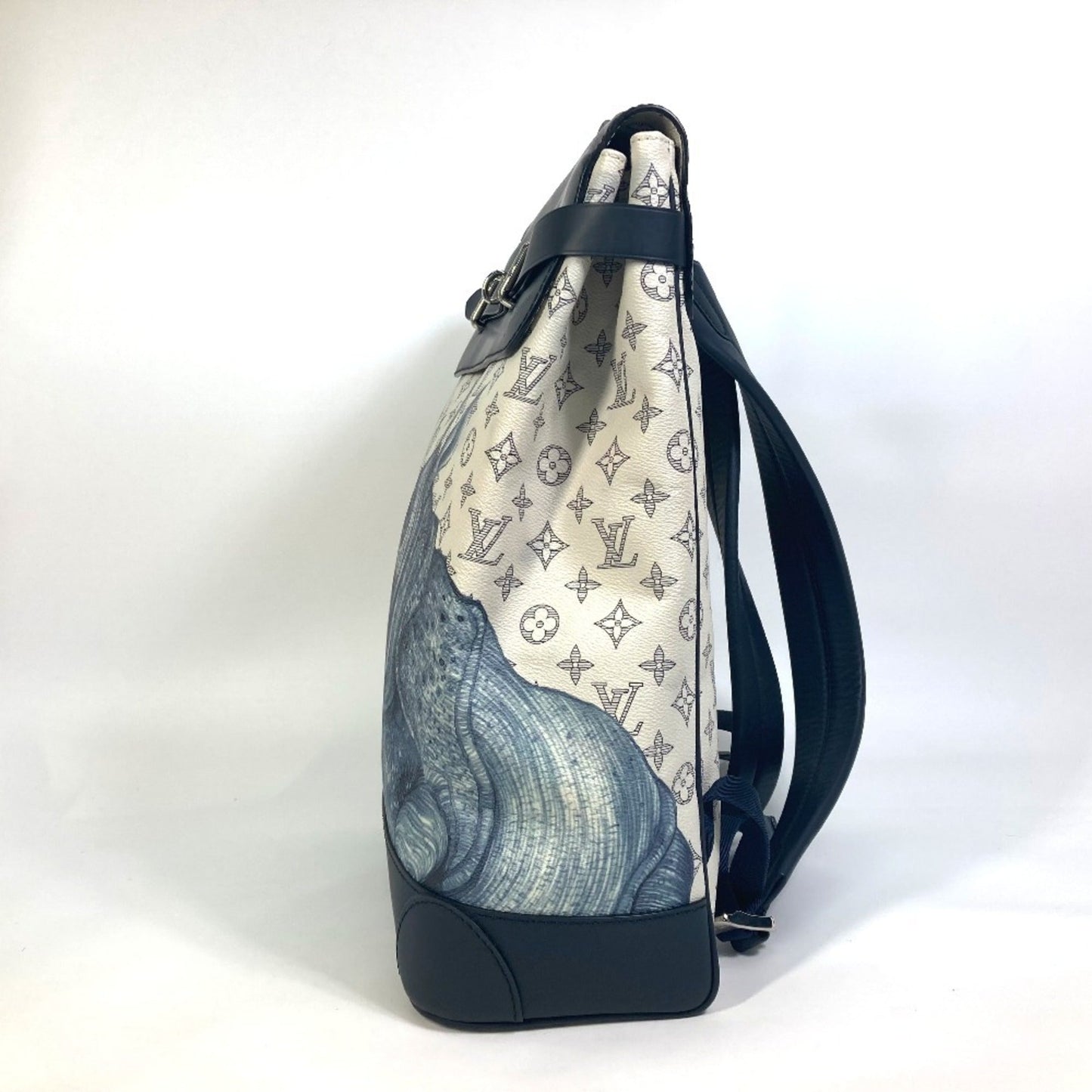 Louis Vuitton Other Backpack