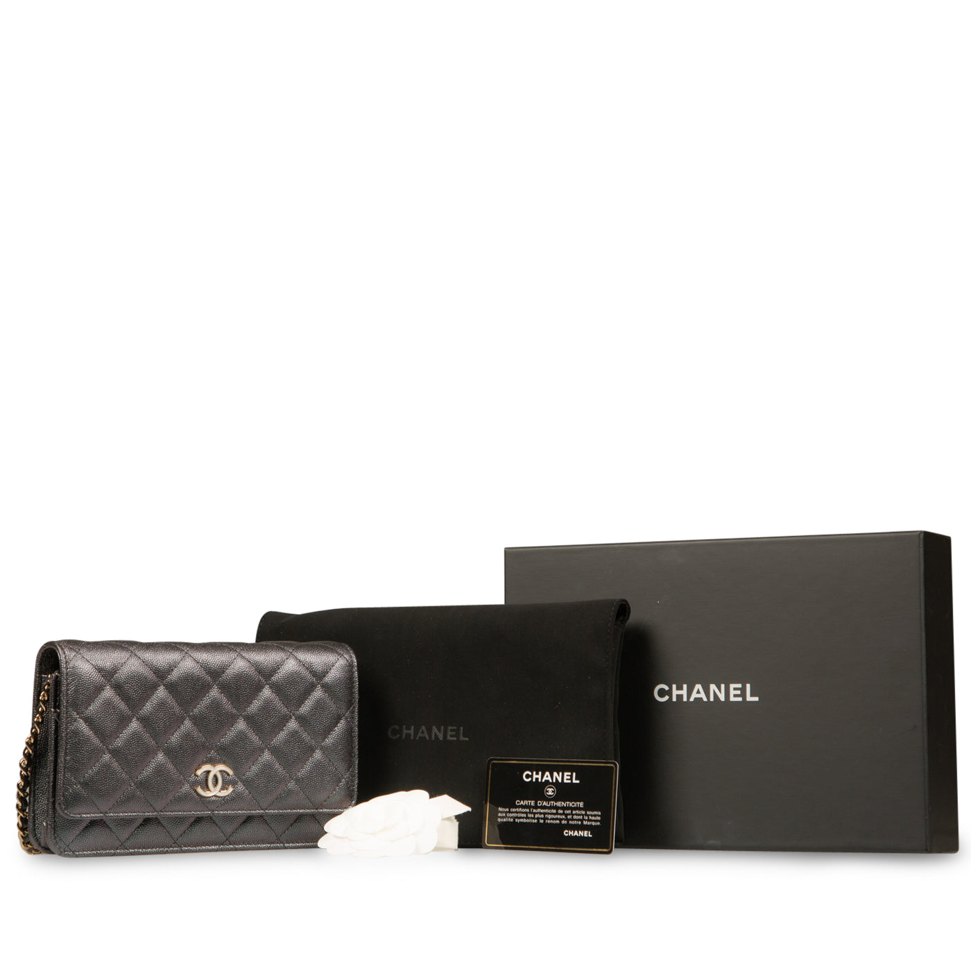 Chanel Wallet on Chain - Iridescent