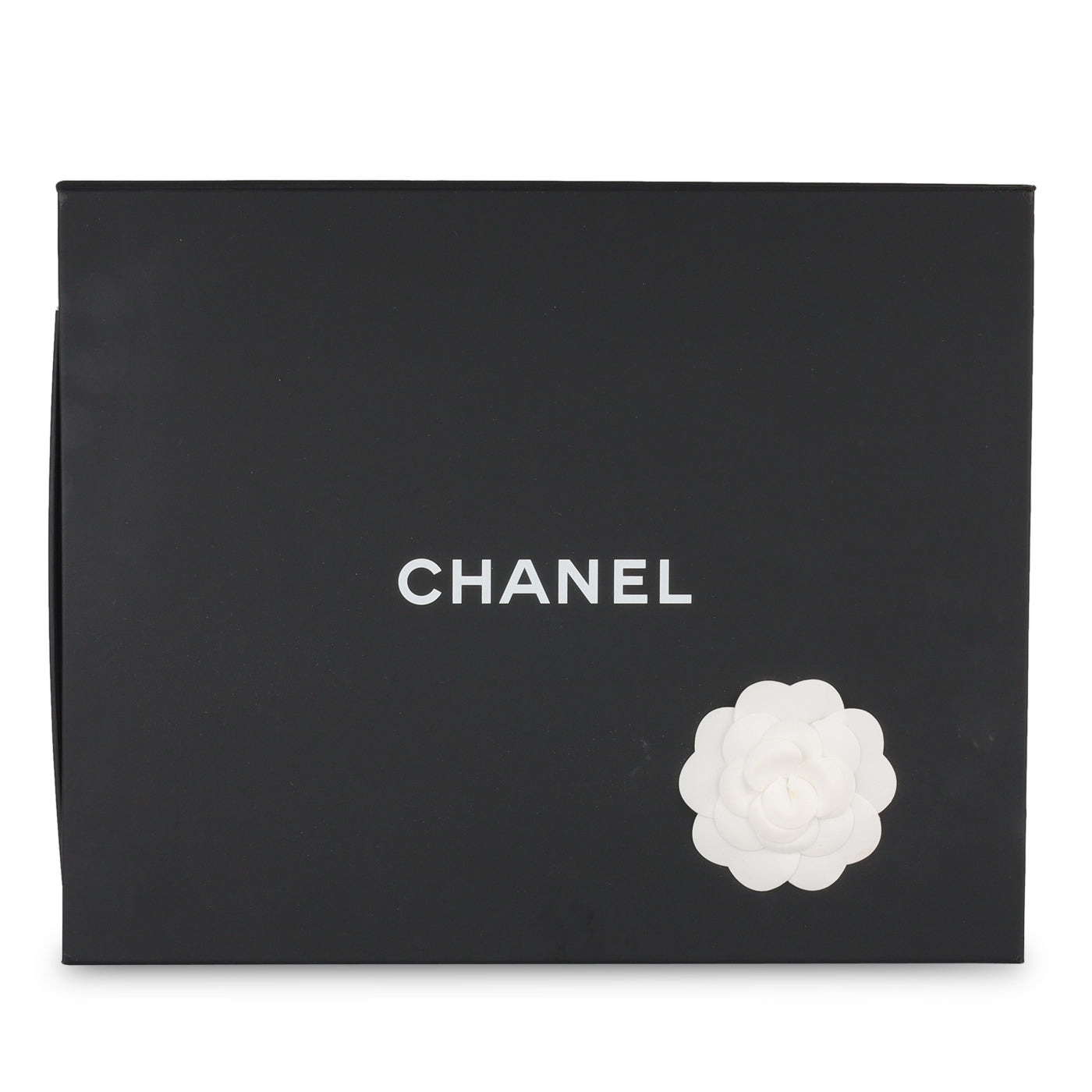 Chanel Chanel 19 - Small