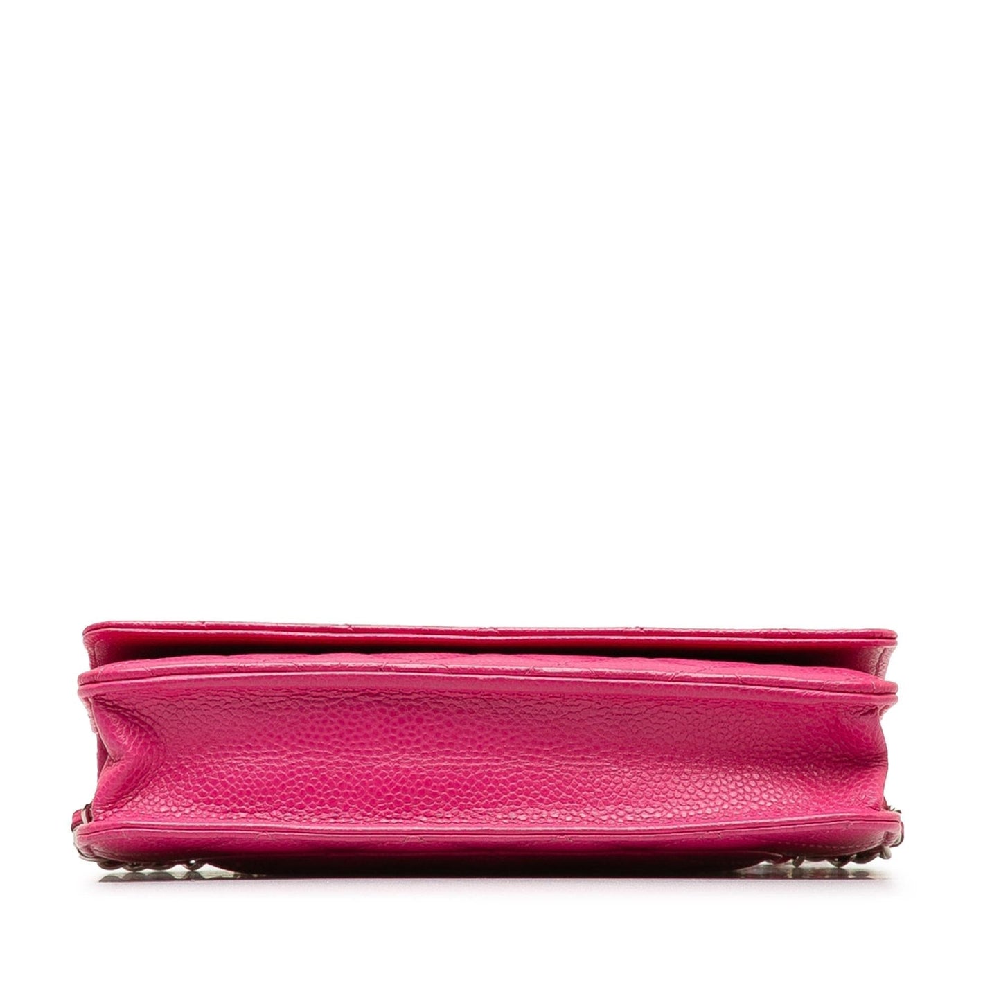 Chanel Wallet On Chain Crossbody Bag - Ewore Bags
