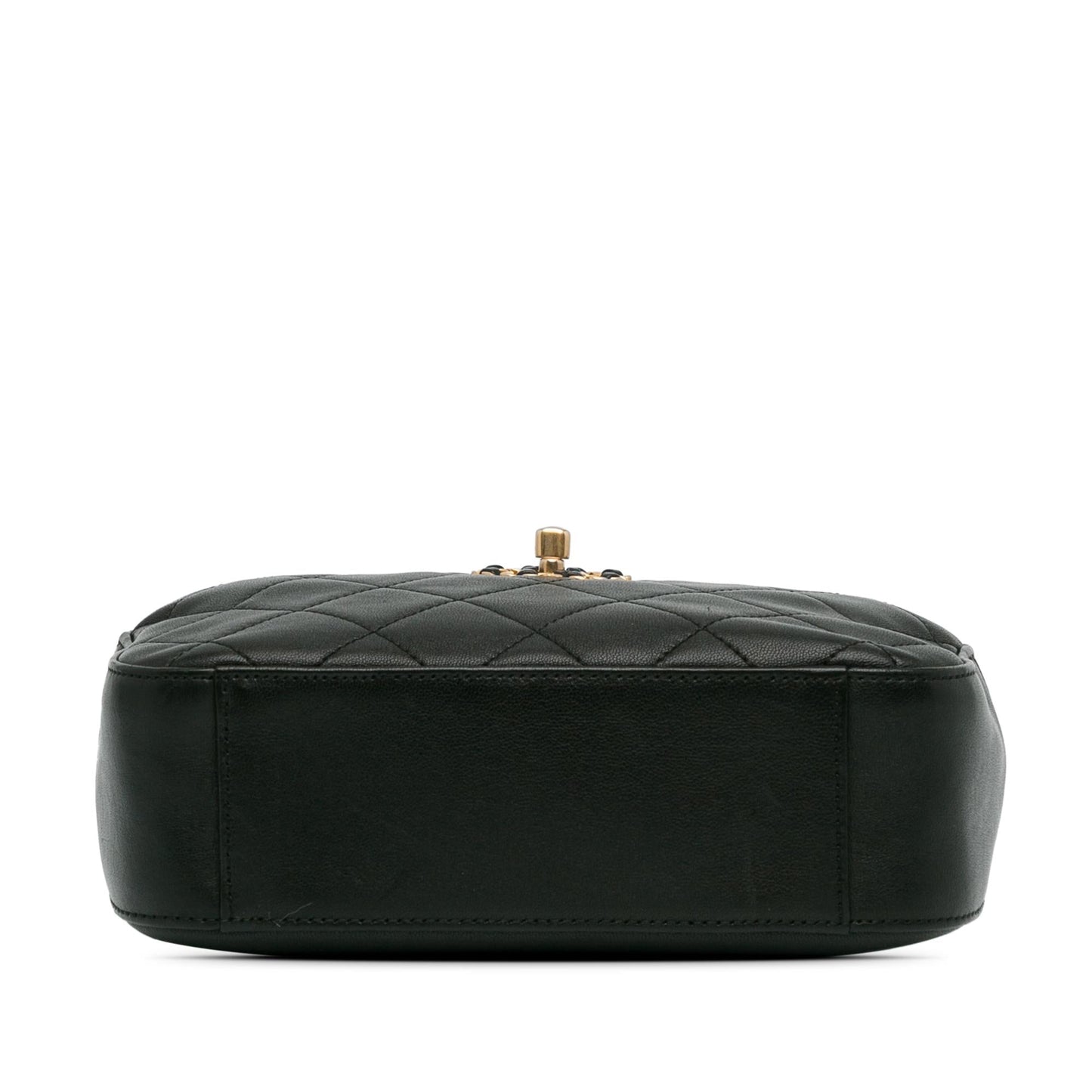 Chanel Goatskin 19 Camera Case (SHG-yHuBpW) Crossbody