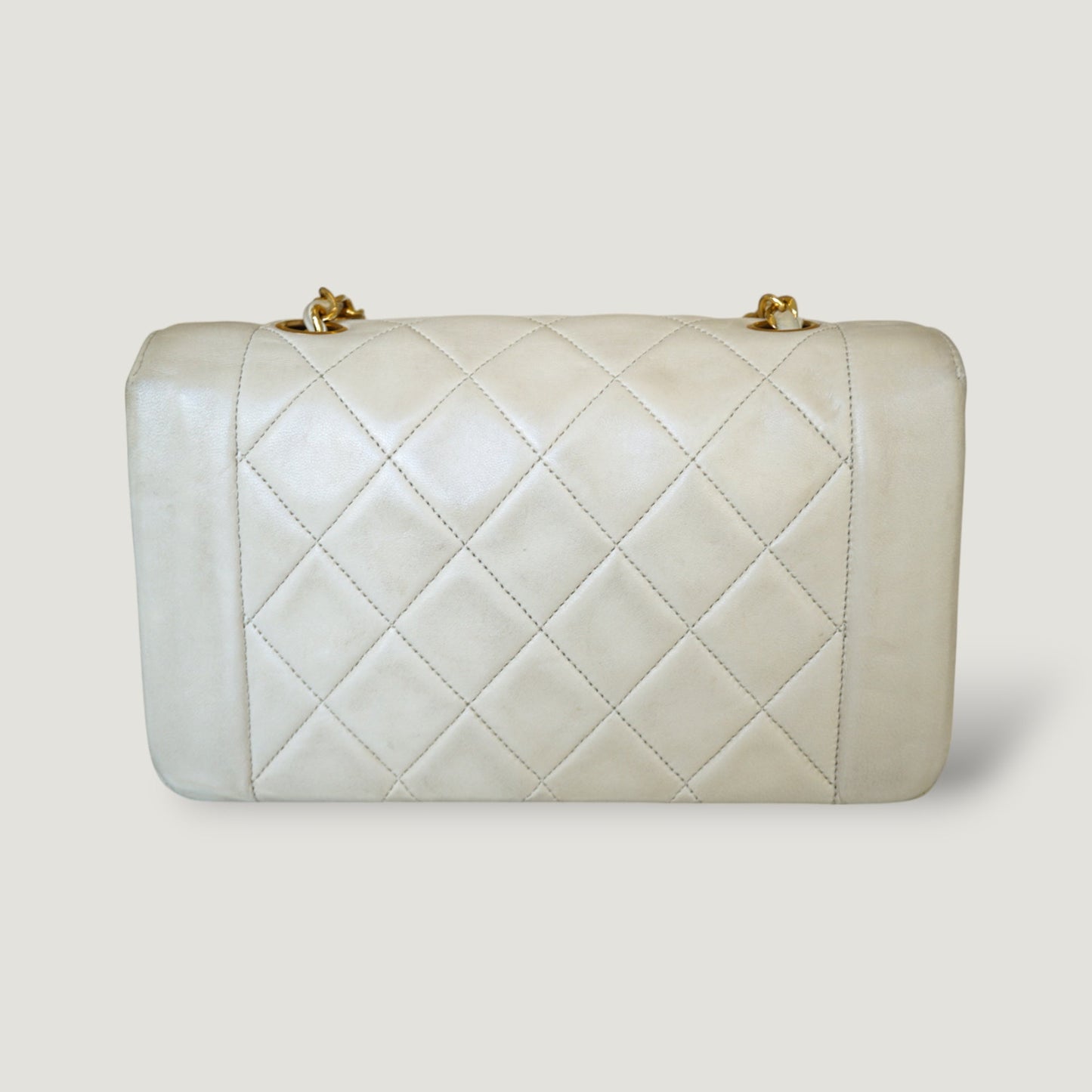 Chanel Diana Handbag Bag - Ewore Bags