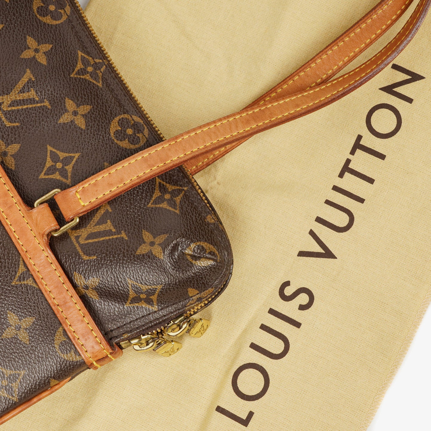 Louis Vuitton Monogram Canvas Coussin GM