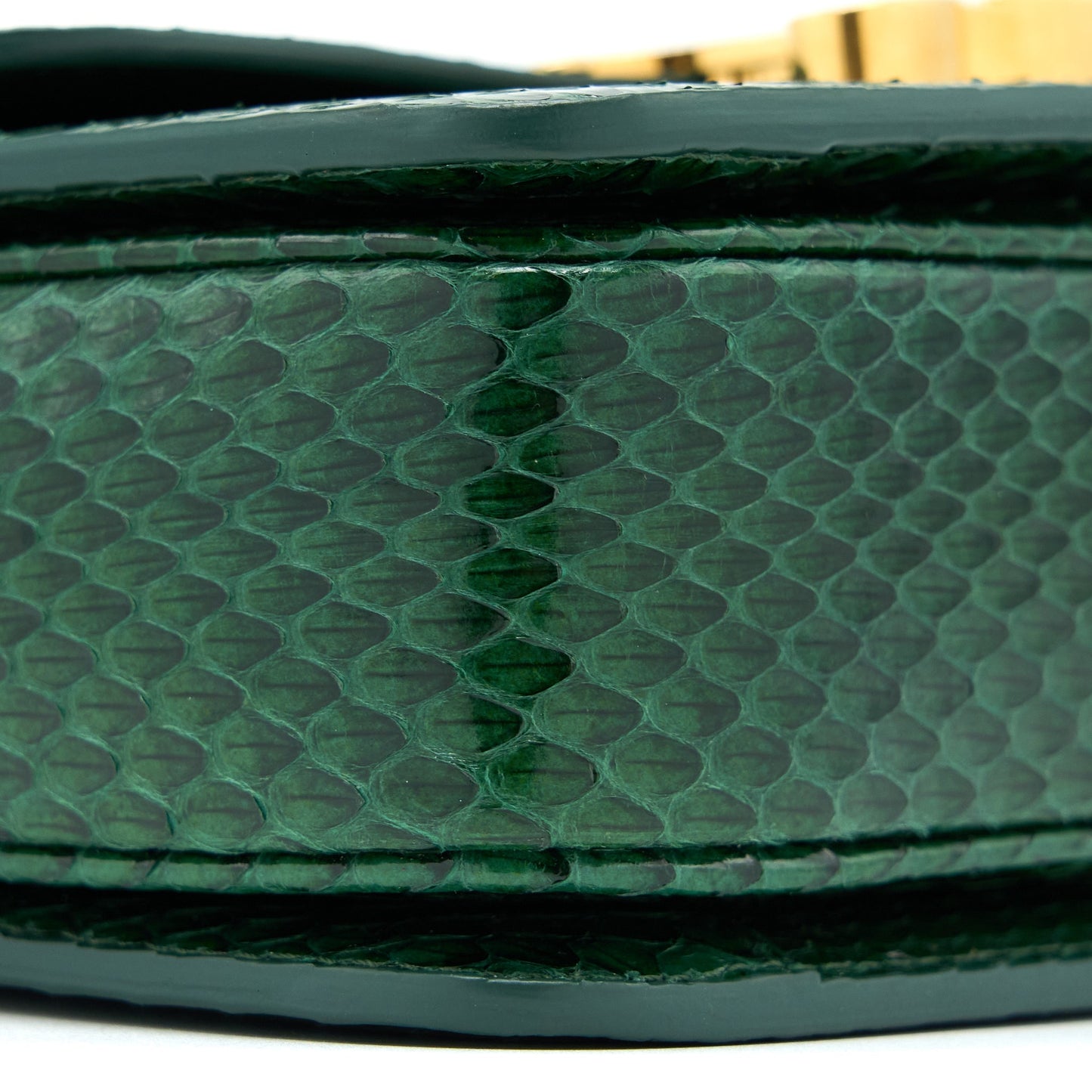 Celine Triomphe Purse Water Snake Leather Green