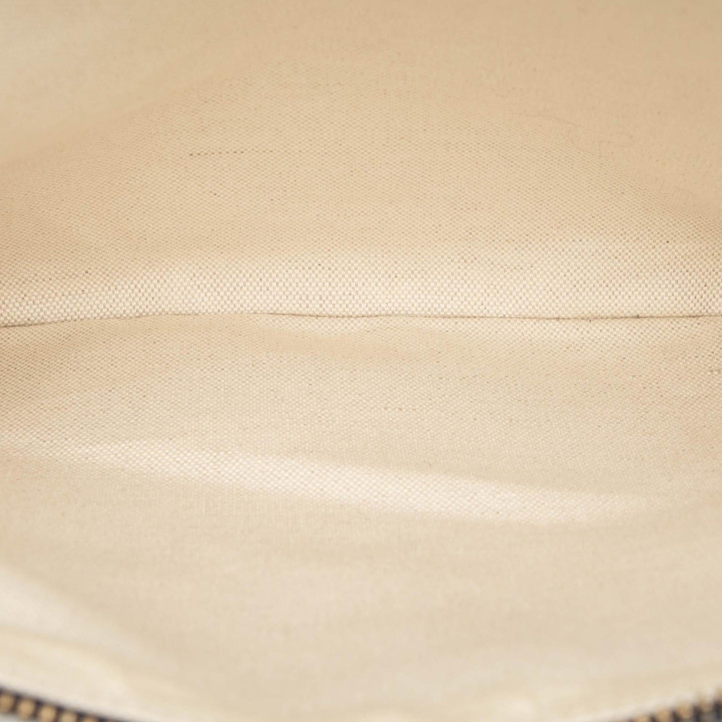 Dior Oblique Canvas Clutch