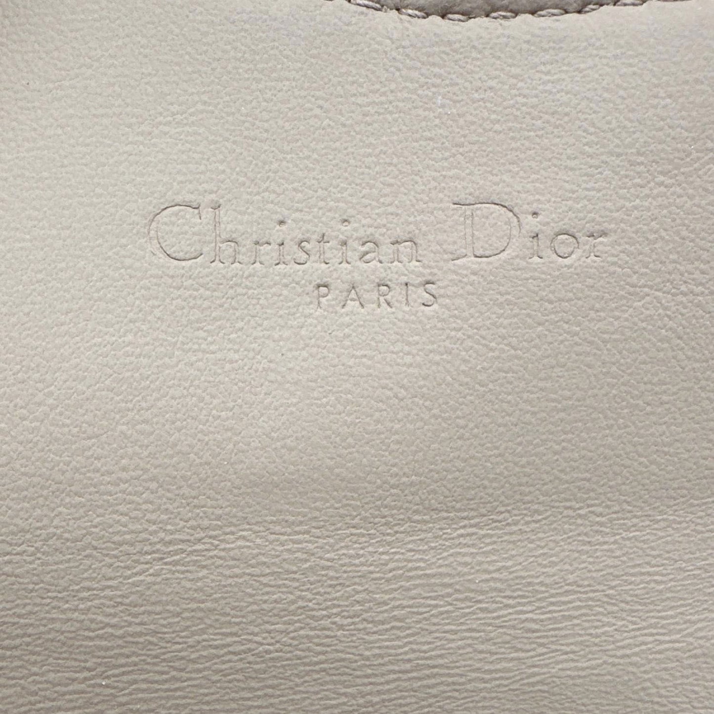 CHRISTIAN DIOR Nano Saddle Ultra Matte Calfskin Leather Chain Pouch Pink