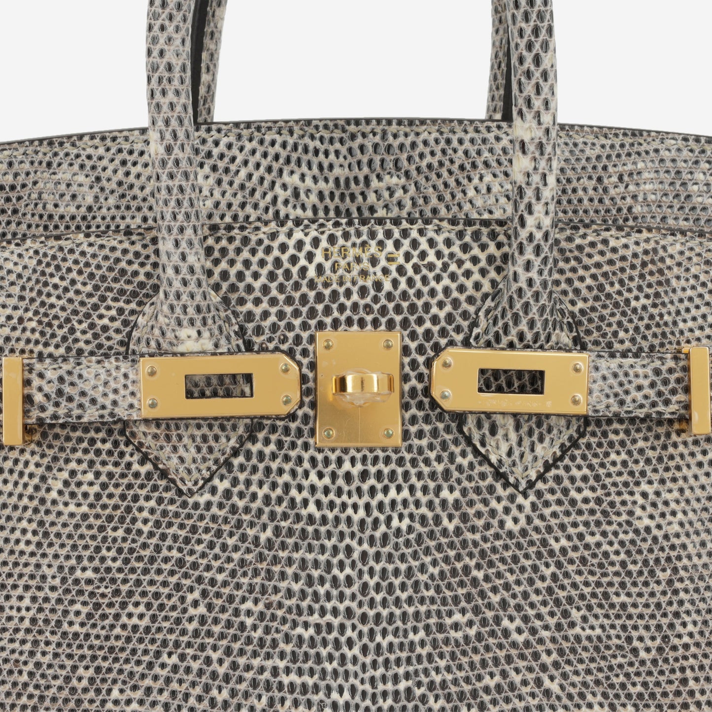 Hermès Birkin 25 - Ombre Lizard Salvator | Gold Hardware