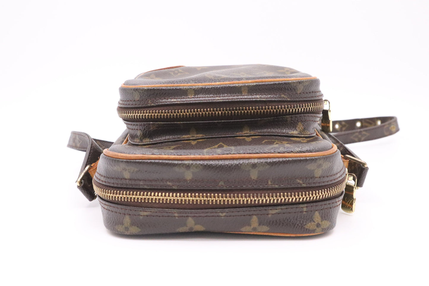 Louis Vuitton Amazone PM in Monogram Canvas