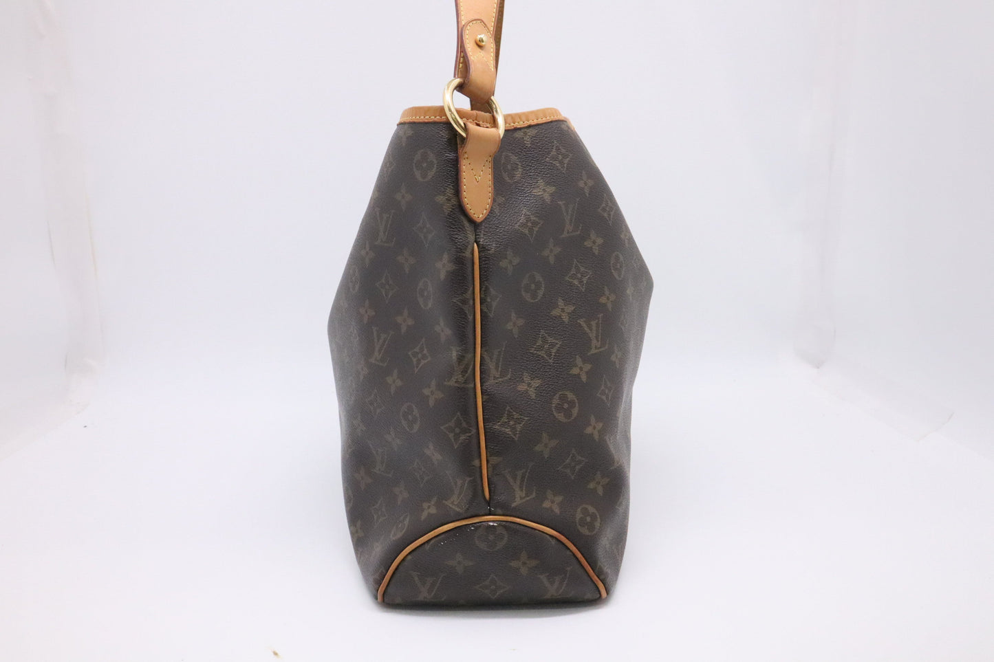 Louis Vuitton Delightful MM in Monogram Canvas