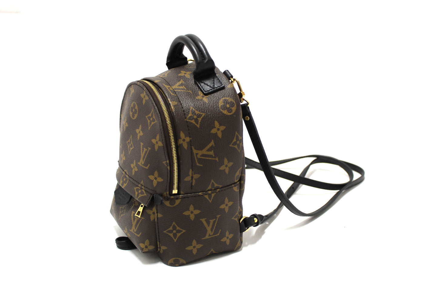 Louis Vuitton Classic Monogram Palm Springs Mini Backpack