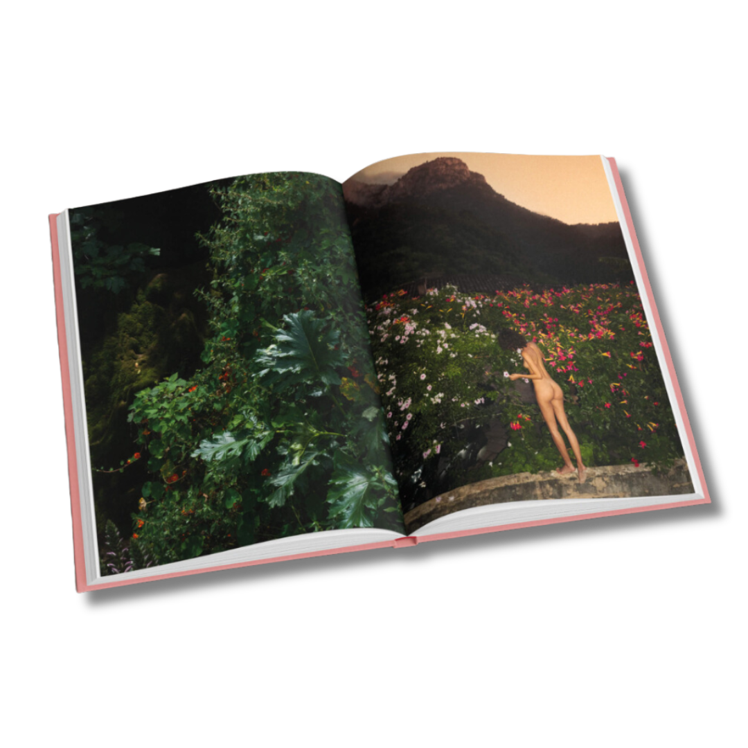 Louis Vuitton: The Birth of Modern Luxury Updated Edition Coffee Table Book