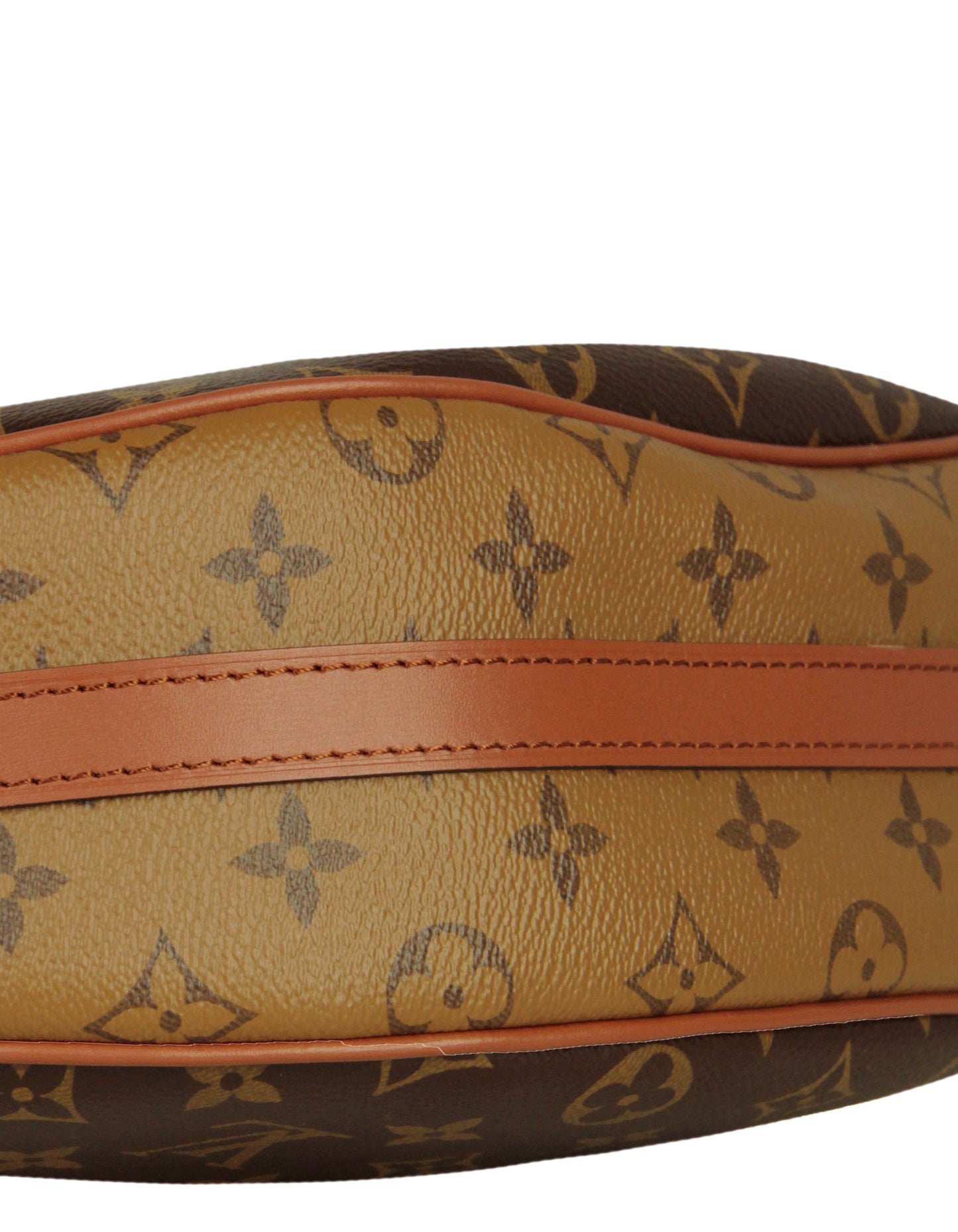 Louis Vuitton Reverse Monogram Loop Hobo Bag