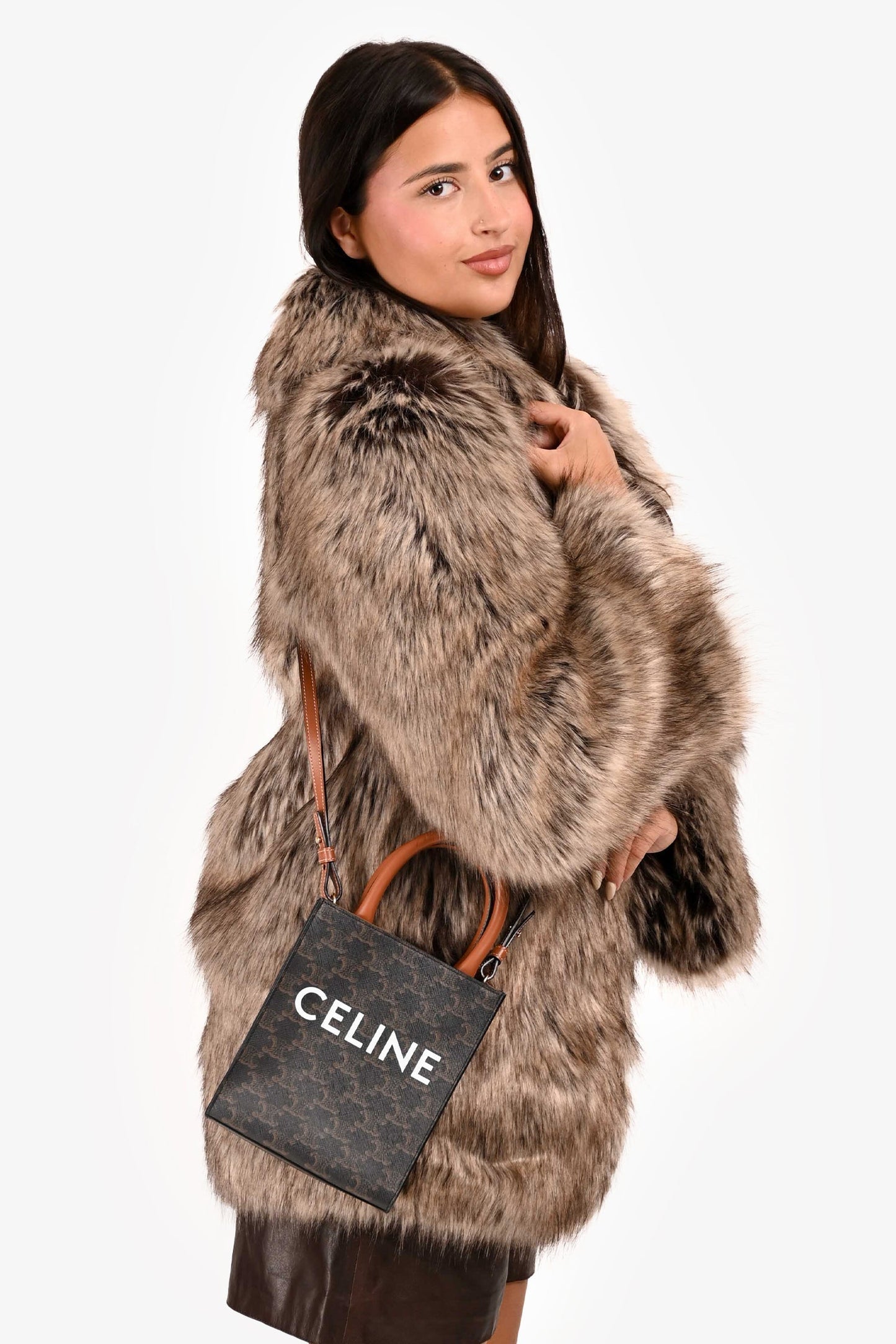 Celine 2021 Brown Canvas/Leather Mini Triomphe Vertical Cabas Tote with Strap