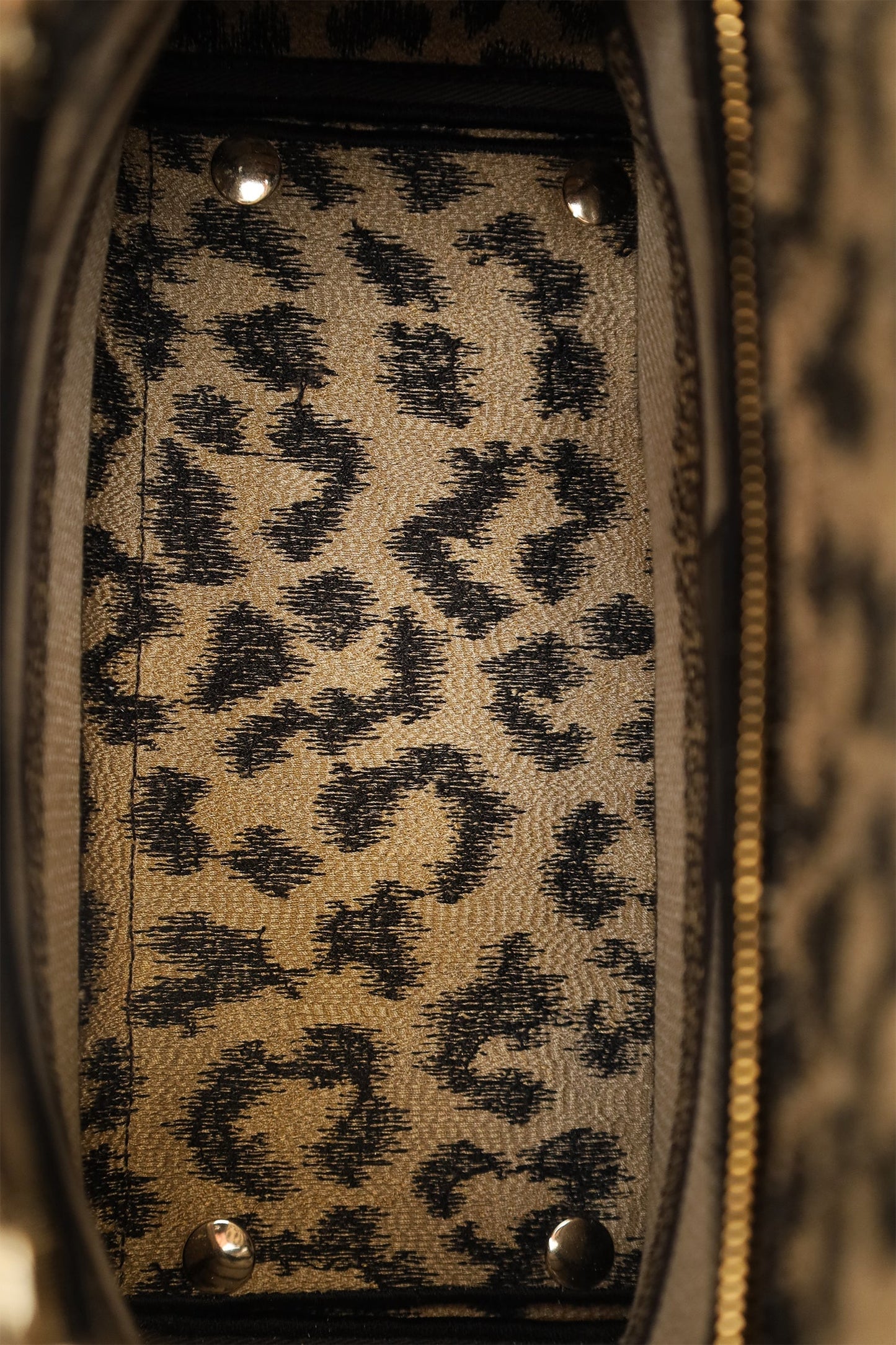 Christian Dior 2021 Leopard Print Canvas Medium Lady Dior Bag with Strap
