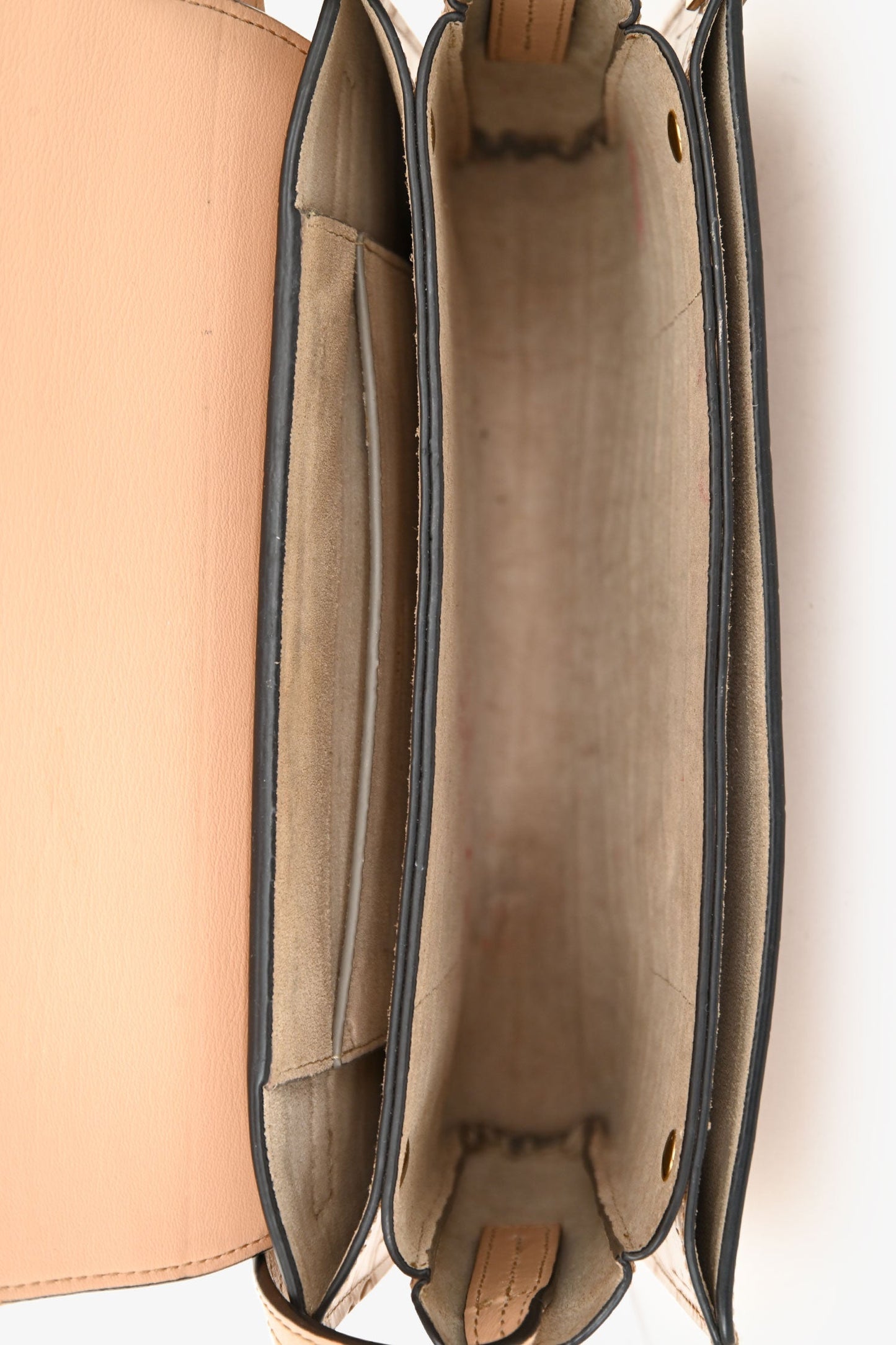 Chloé Blush Croc Embossed Leather Small Faye Crossbody Bag