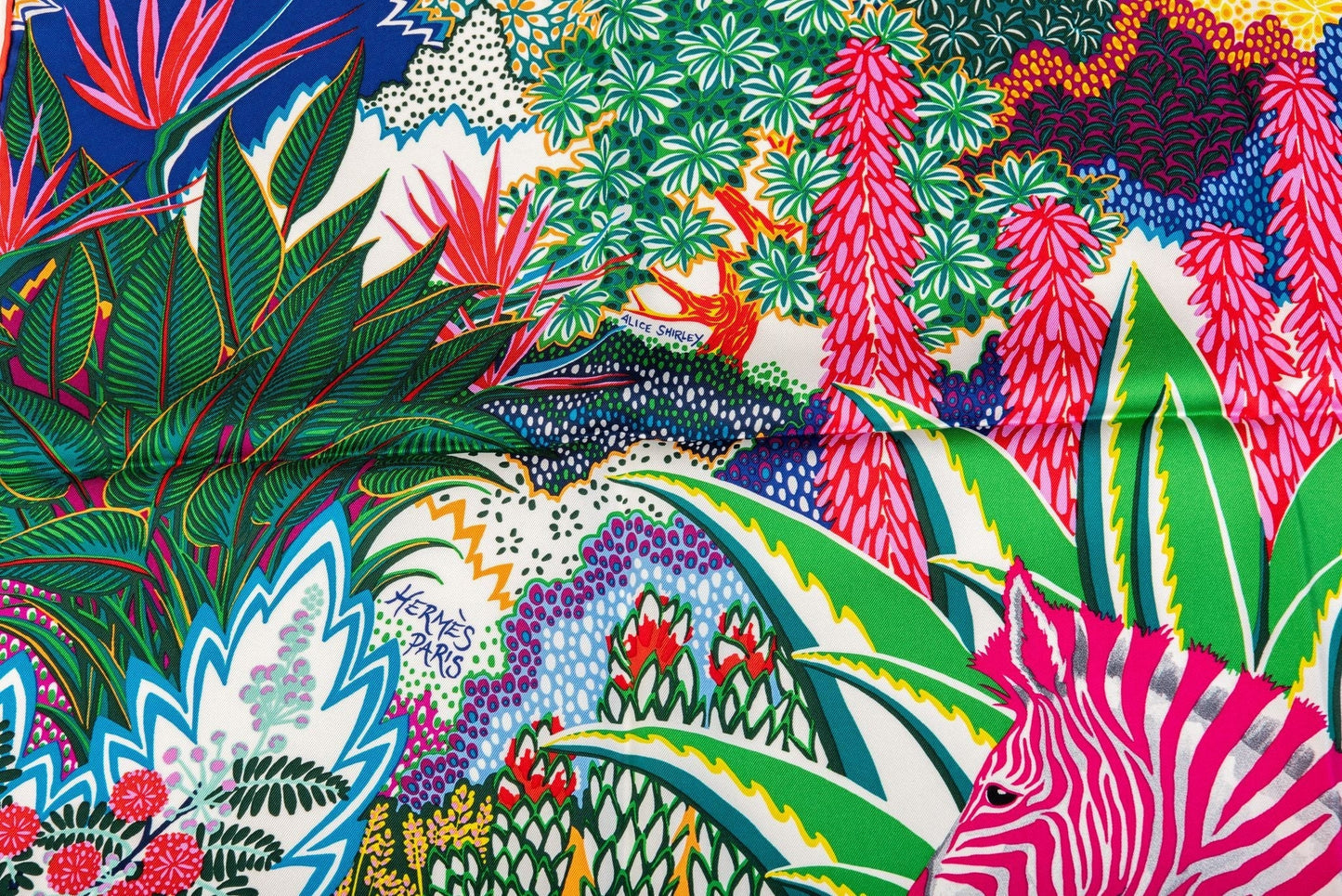 Hermes Mountain Zebra Multicolor Scarf