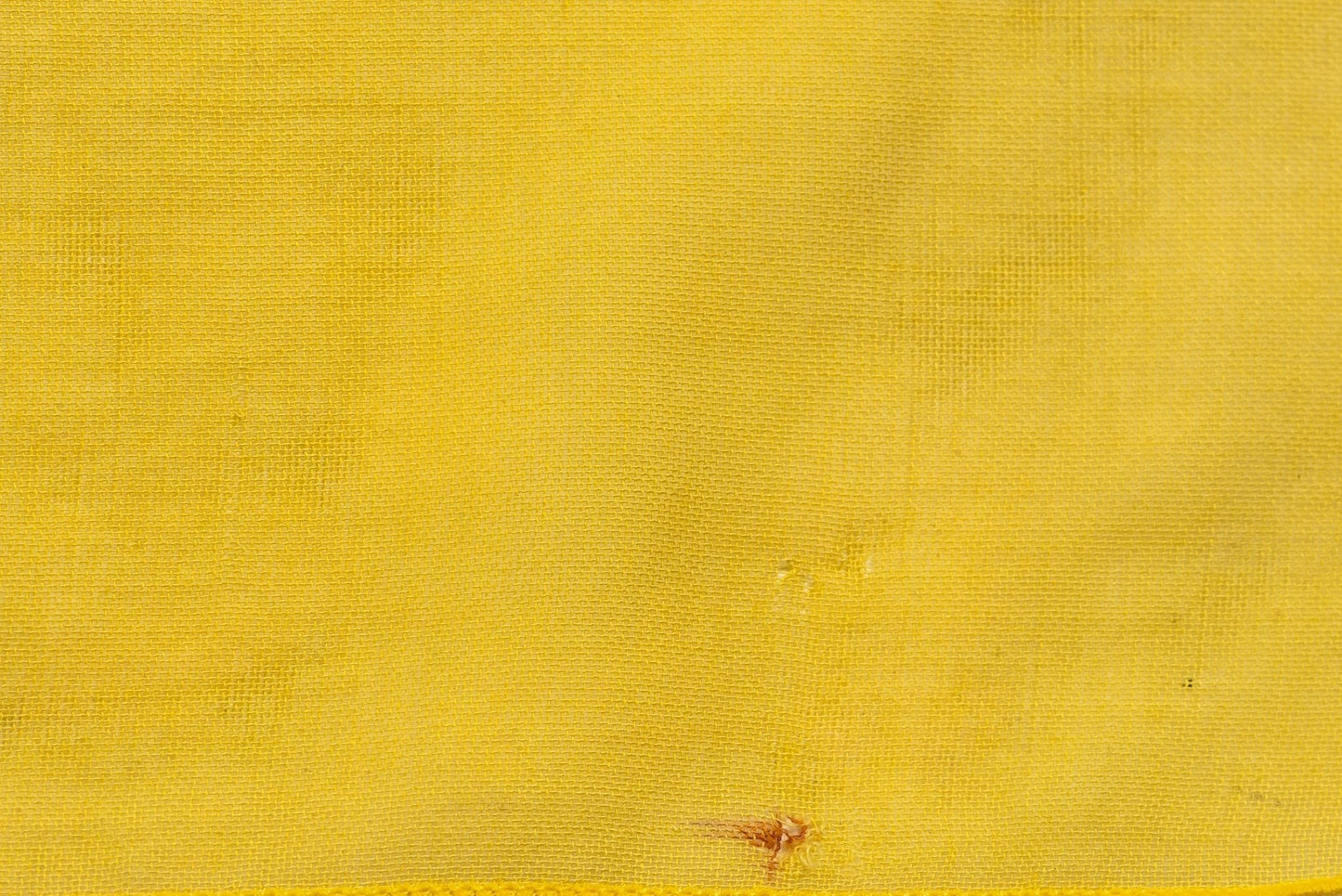 Hermes Yellow Blue Fish Cotton Sarong