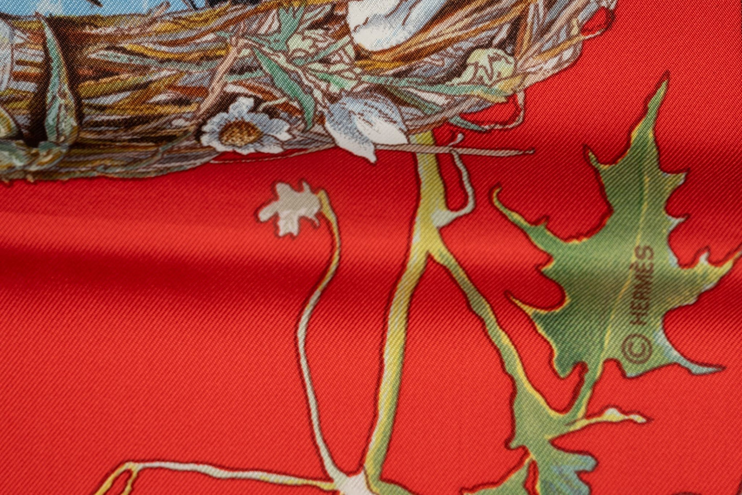 Hermes Faune et Flora du Texas Scarf