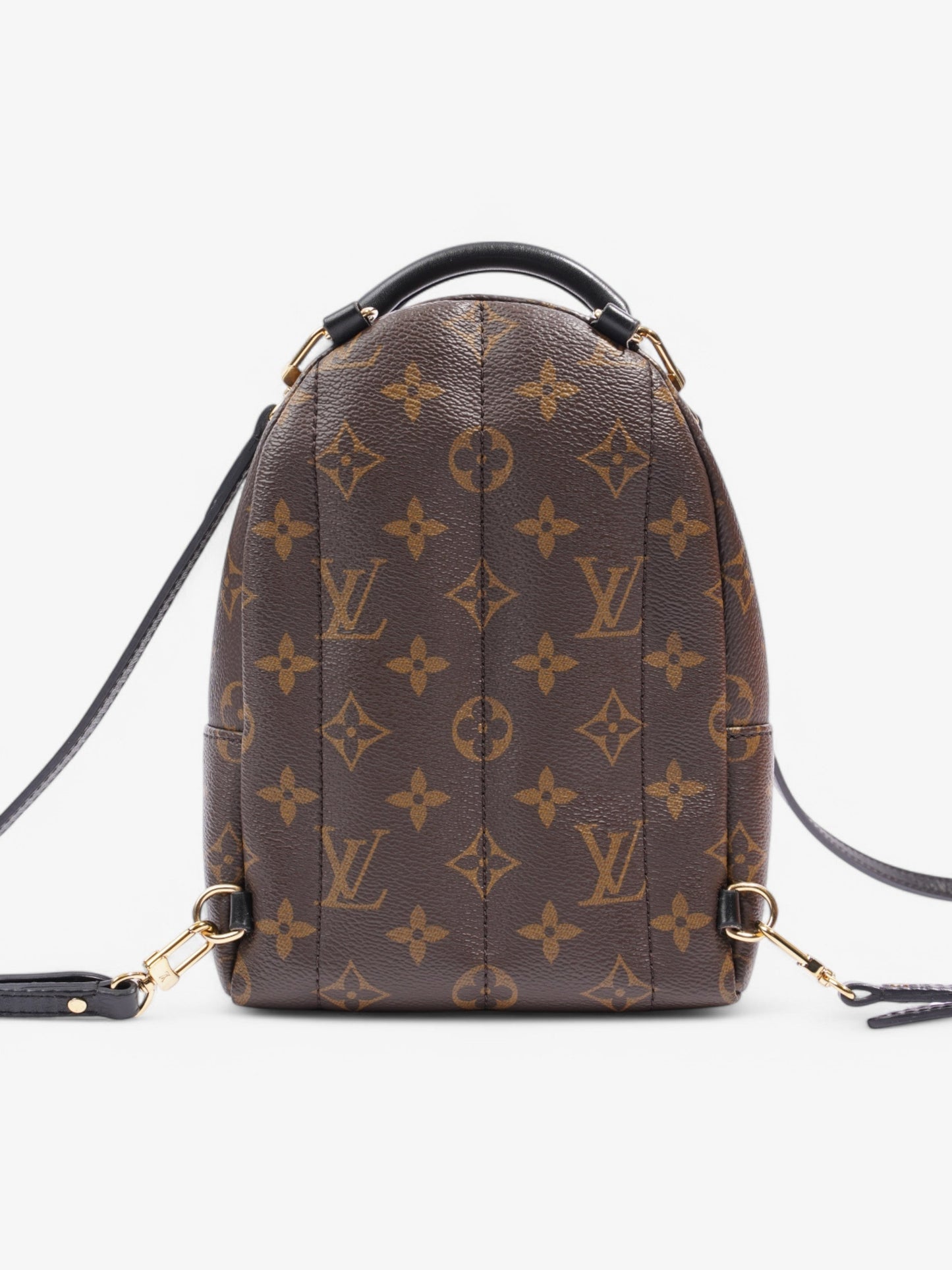 Louis Vuitton Mini Palm Springs Monogram Coated Canvas Mini