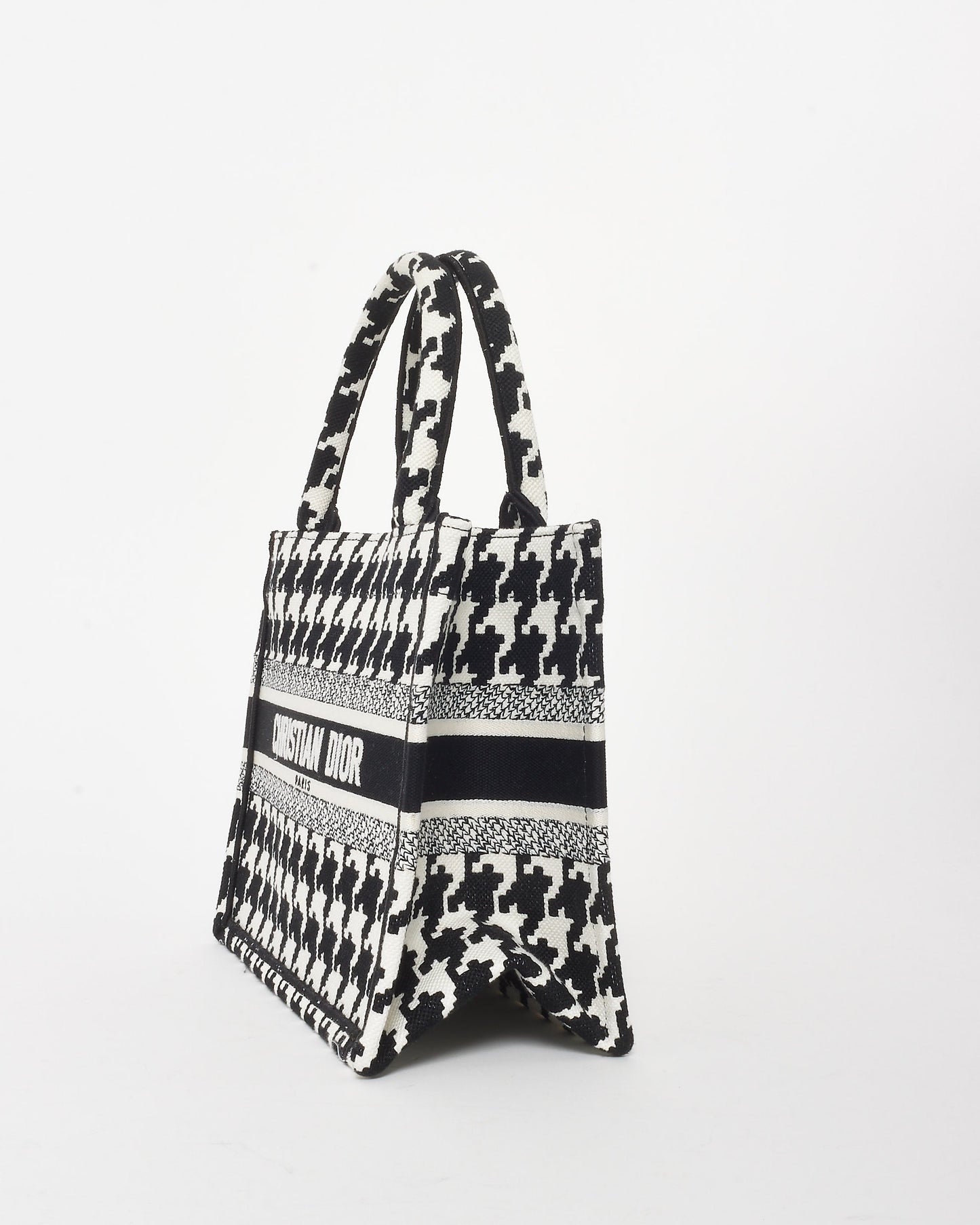 Dior Book Tote Mini Canvas Tote