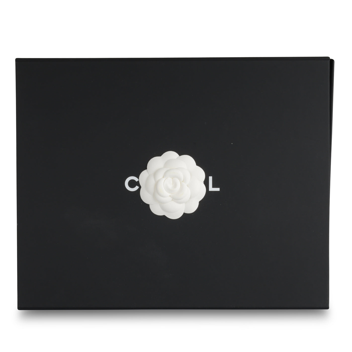 Chanel Large Heart Bag - White