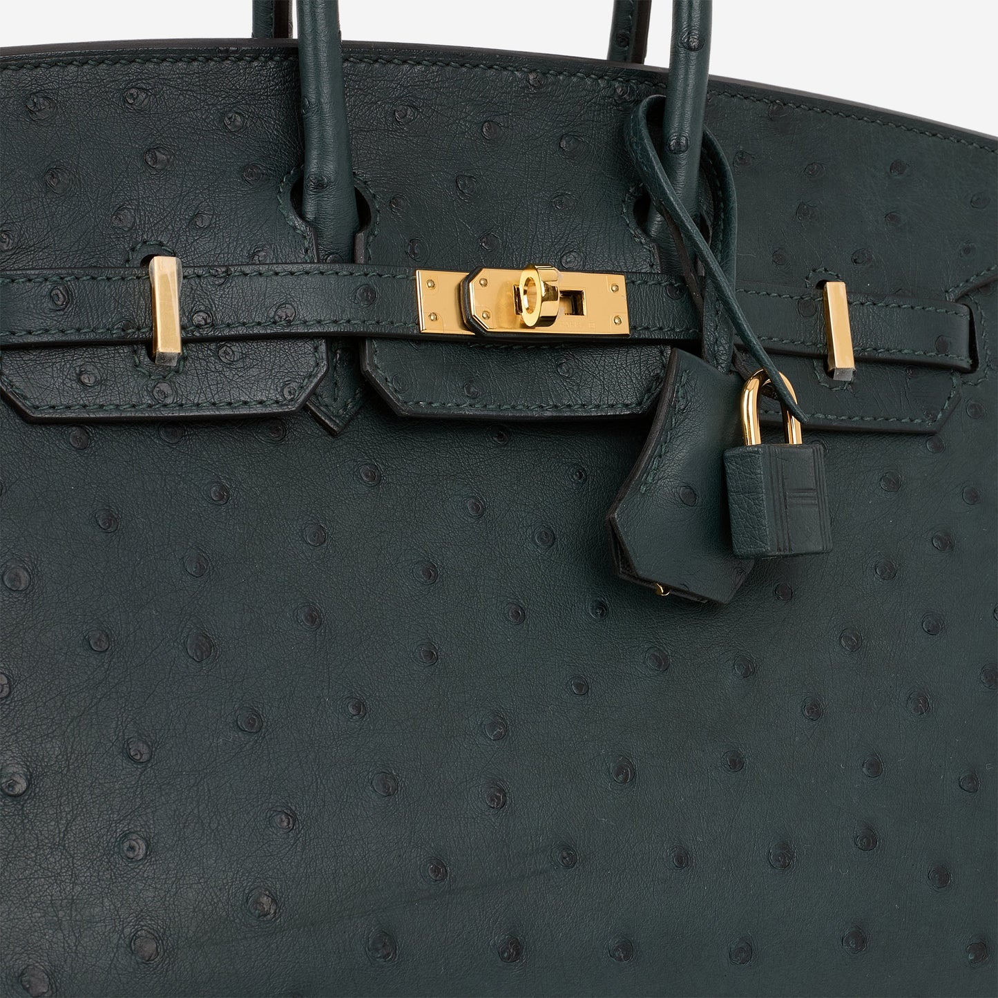 Hermès Birkin 25 - Vert Cypres Ostrich | Gold Hardware