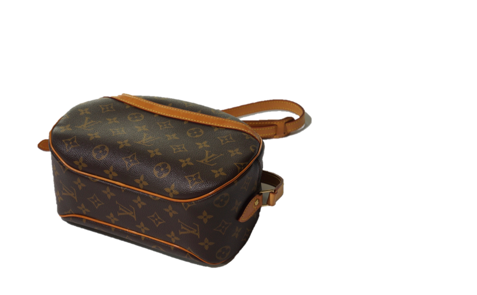 Louis Vuitton Blois Monogram bag