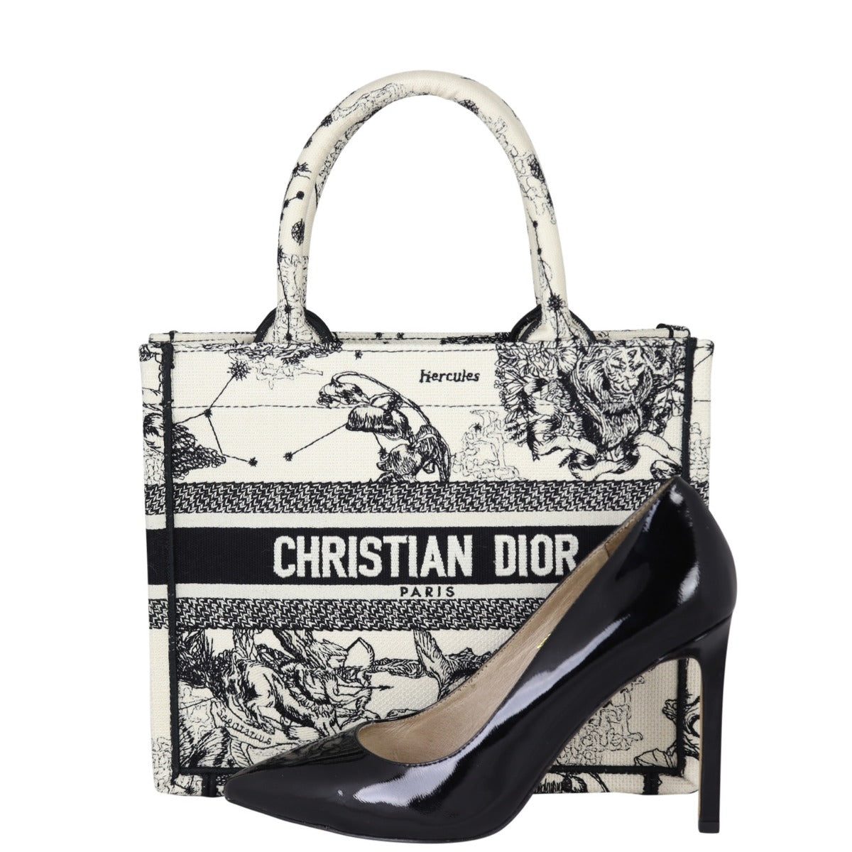 Dior Book Tote Small Toile de Jouy Zodiac