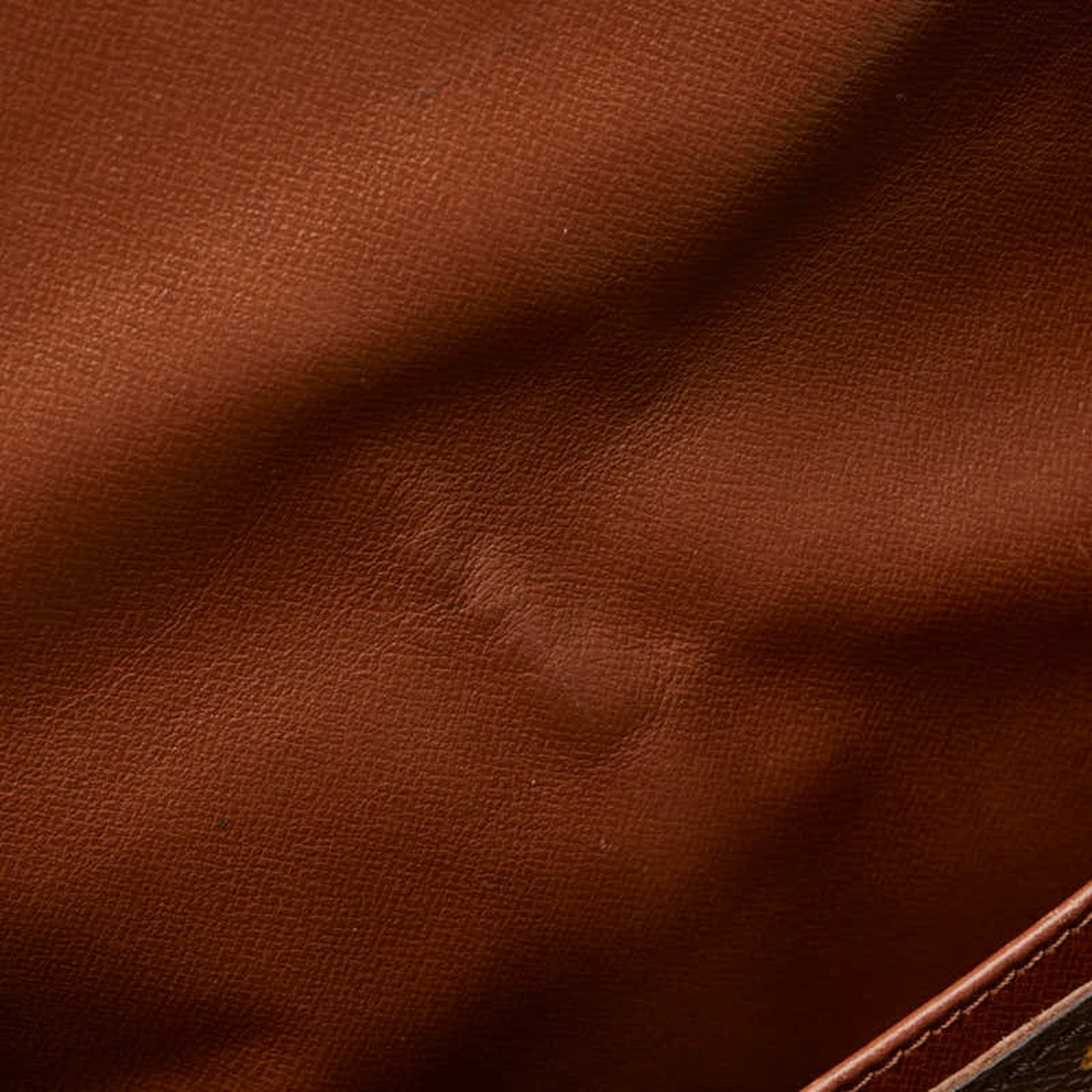 Louis Vuitton Pvc Leather Shoulder Bag