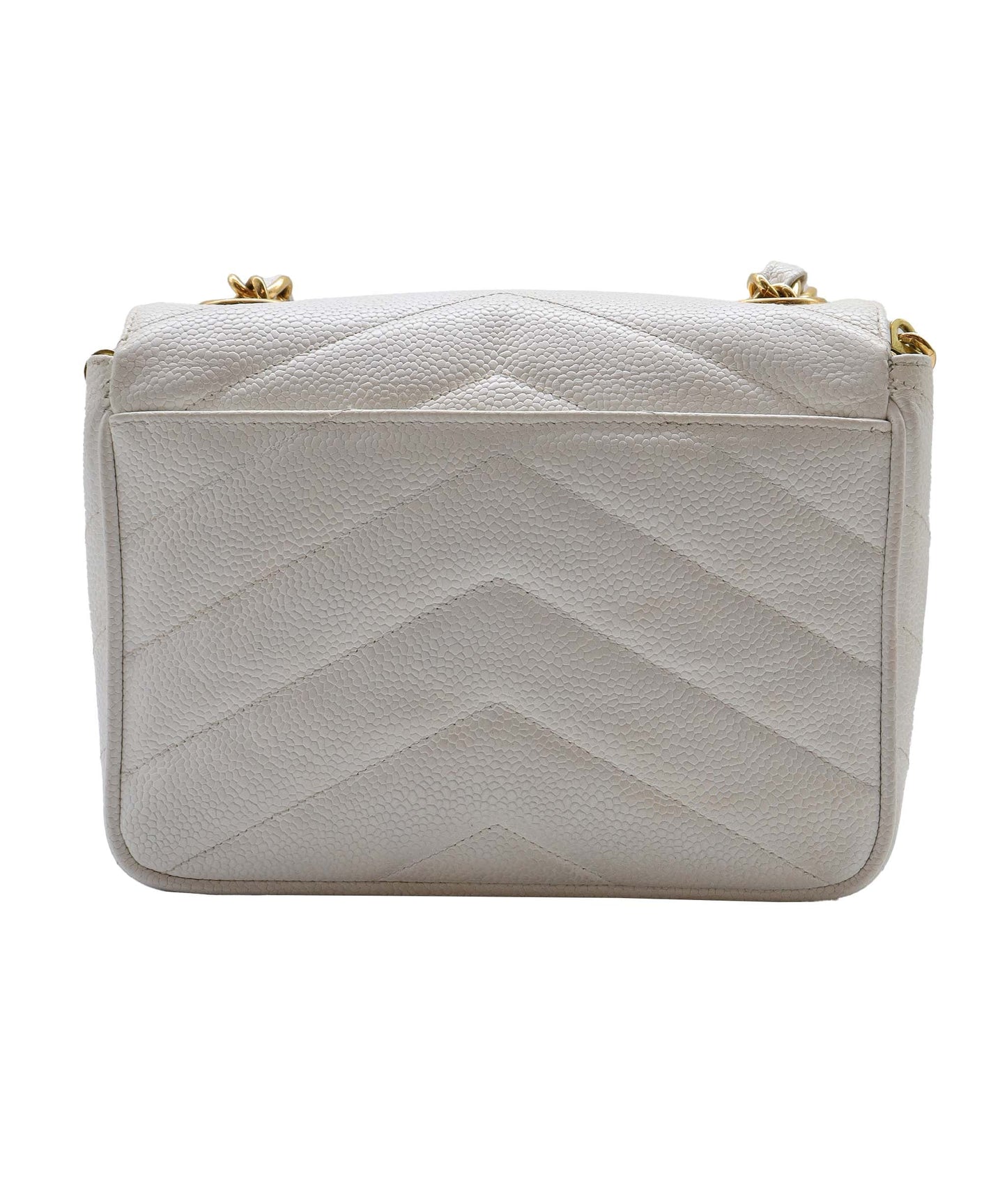 Chanel Handbag - Ewore Bags