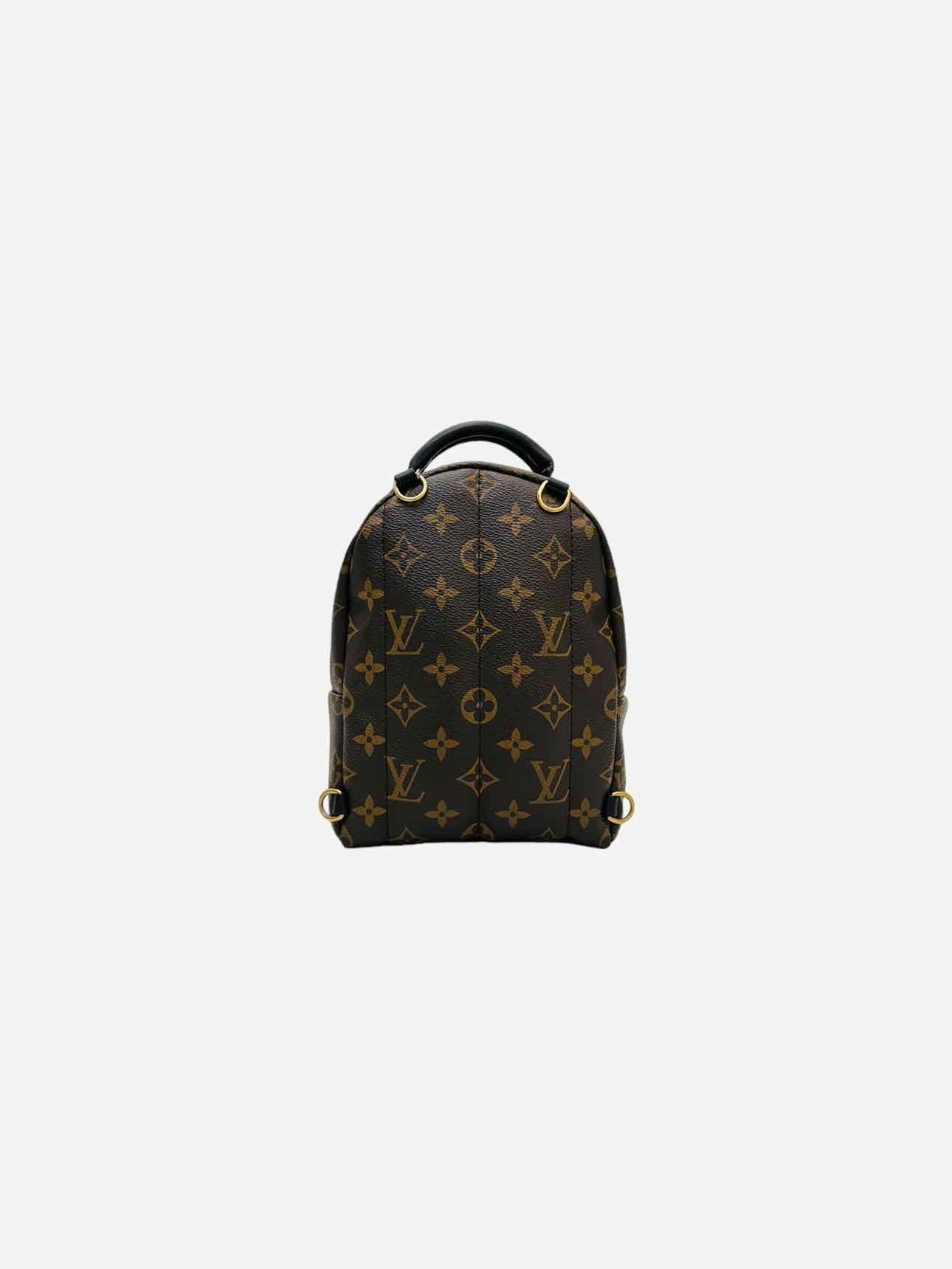 LOUIS VUITTON Palm Springs Brown Monogram Backpack