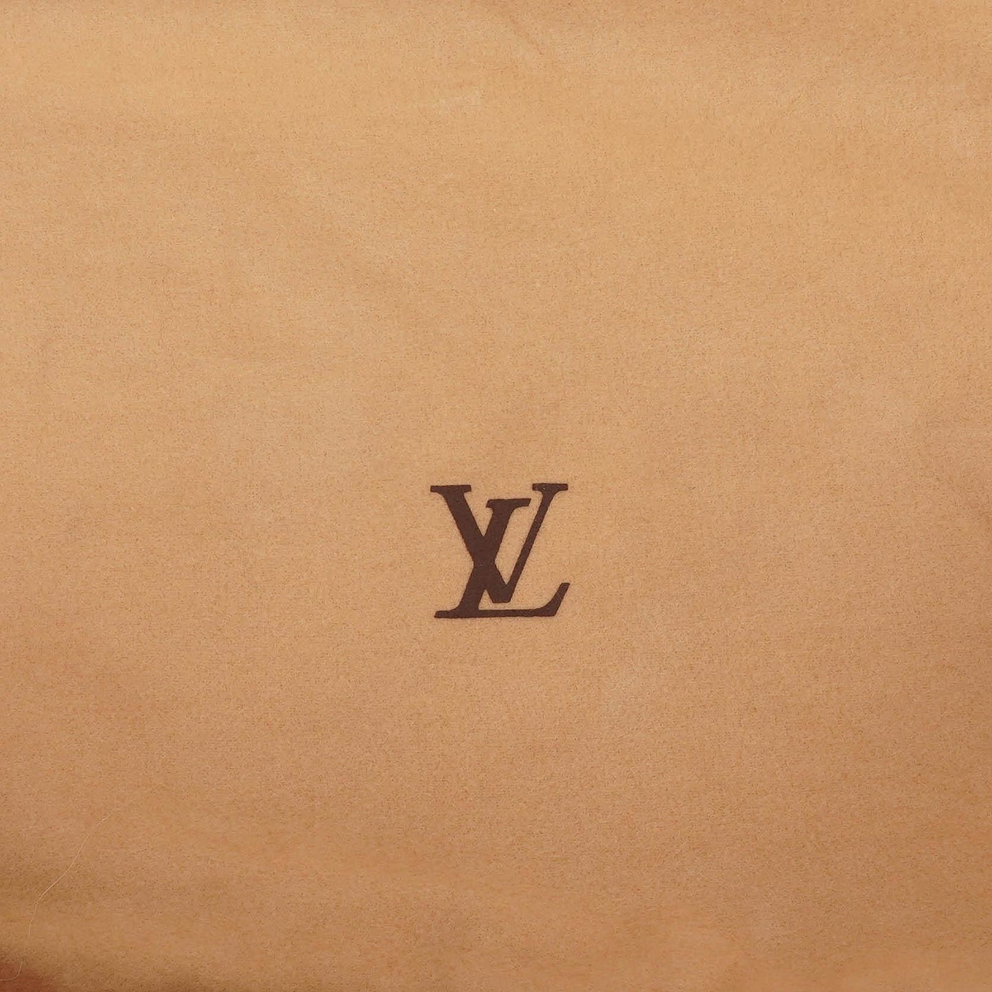 Louis Vuitton Black Epi Leather Cannes Handbag