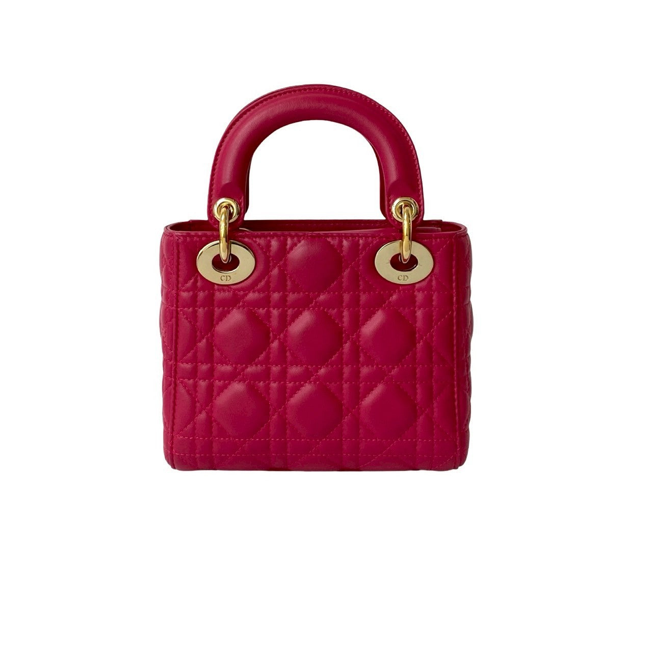 Christian Dior Lady Dior Leather 2way Bag