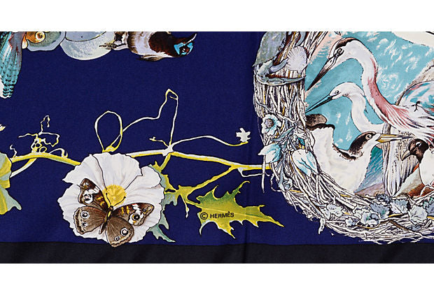 Hermes Faune et Flore Du Texas Blu Scarf