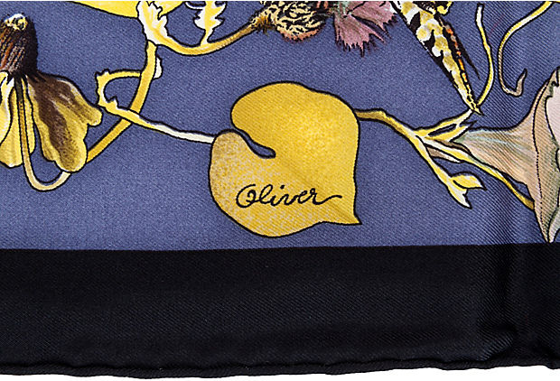 Hermes Faune et Flore du Texas Scarf