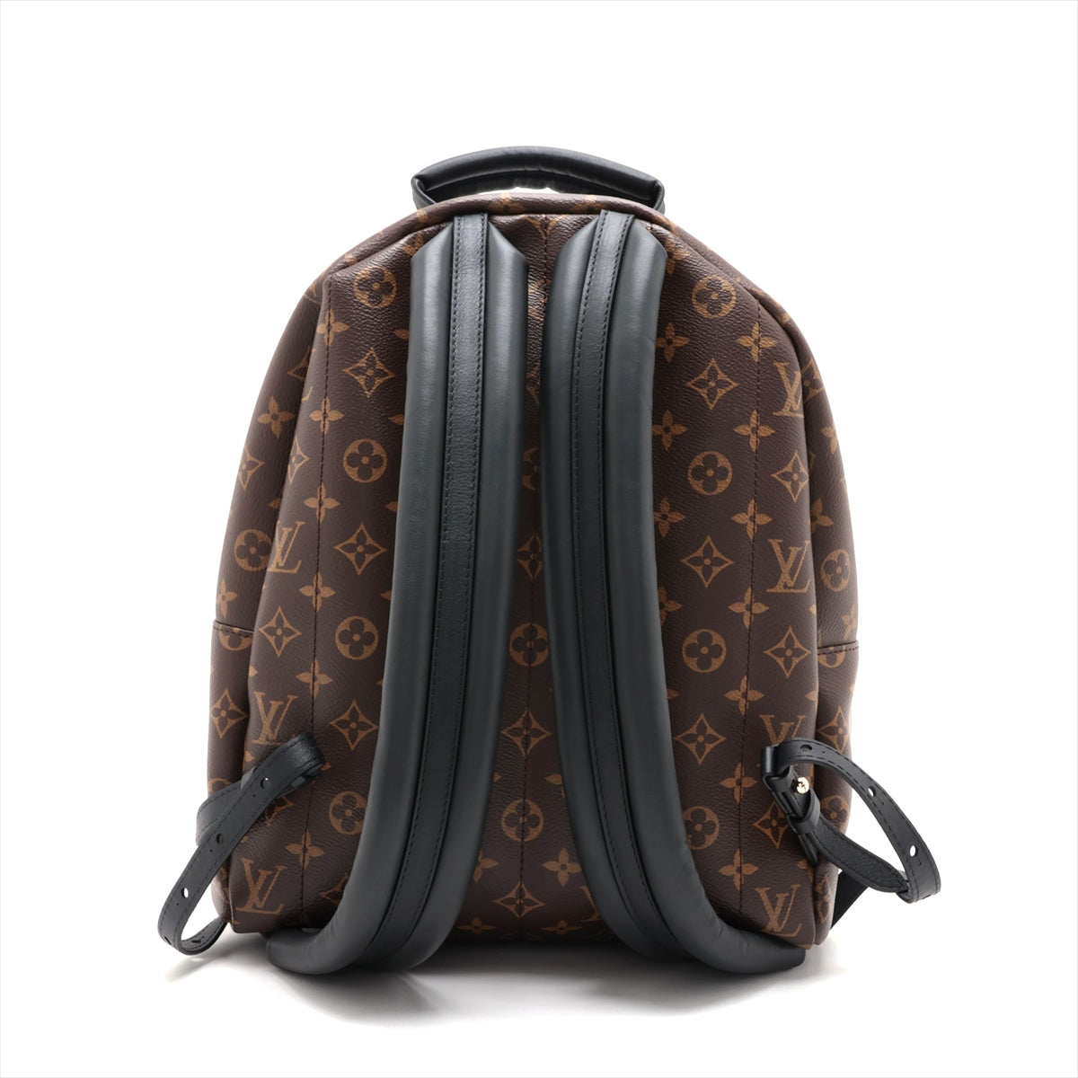 Louis Vuitton Monogram Palm Springs Bag Pack MM M44874