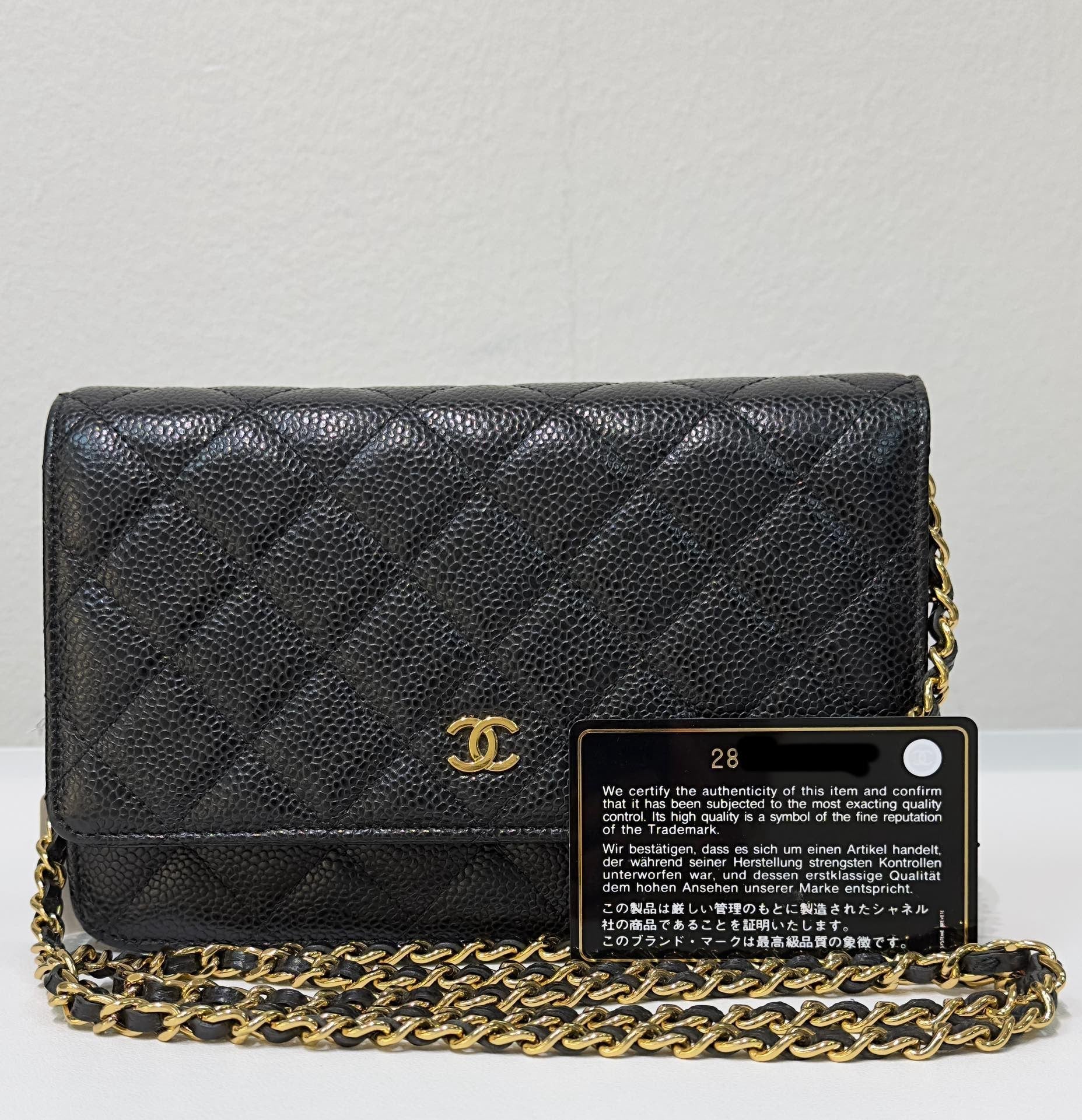 Chanel Wallet On Chain Crossbody Bag - Ewore Bags