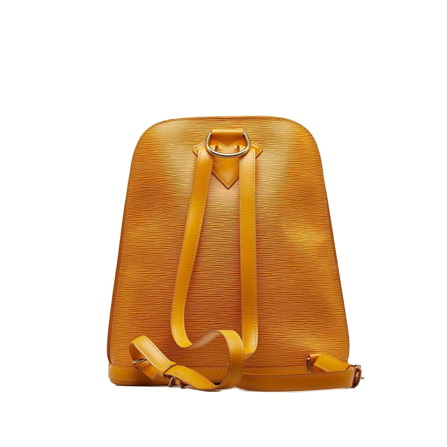 LOUIS VUITTON Epi Gobelins Backpack