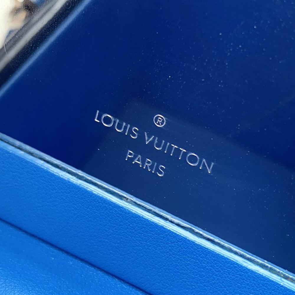 Louis Vuitton Bleeker Box Bag