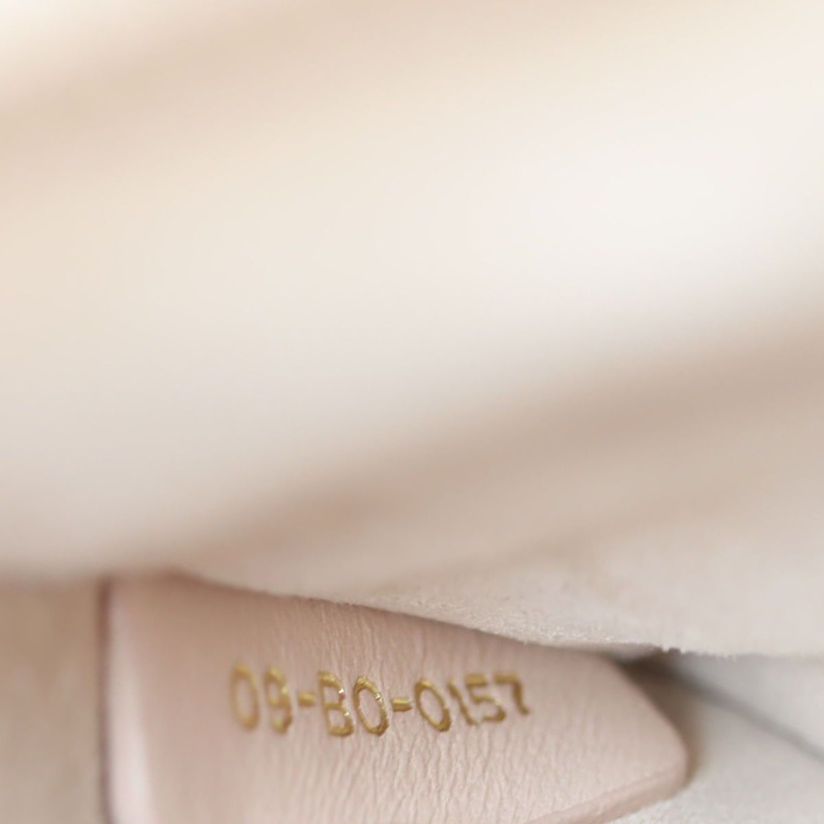 Dior Dioraddict Medium Flap Bag