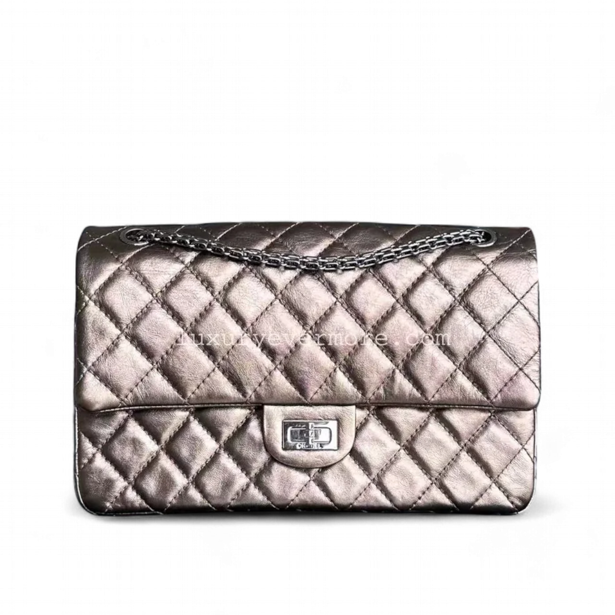 Chanel Handbag - EworeBags