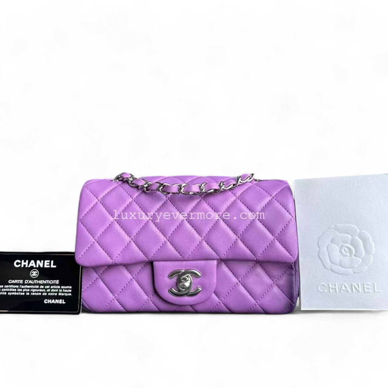 Chanel Classic Flap Mini Shoulder Bag - EworeBags