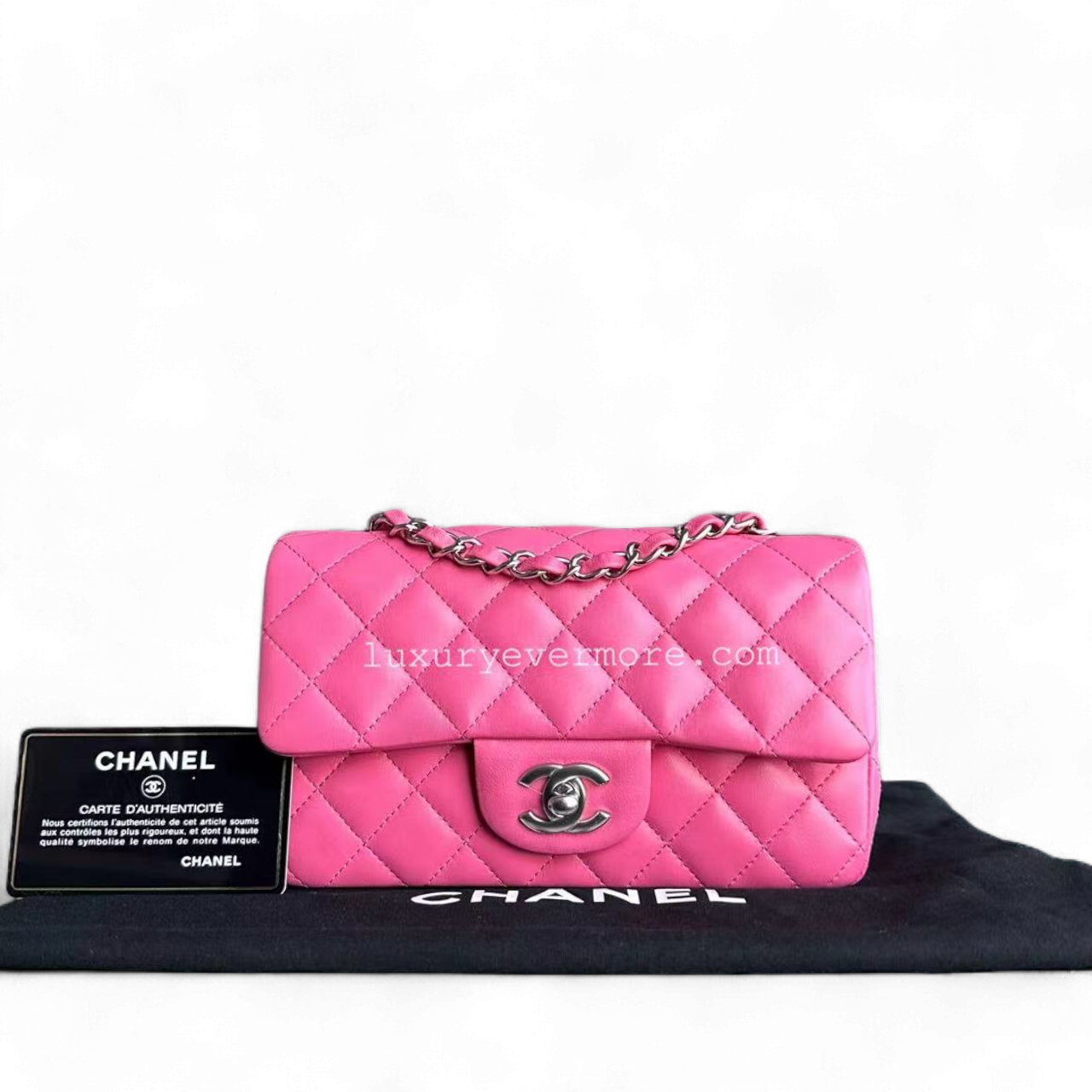 Chanel Classic Flap Mini Shoulder Bag - EworeBags