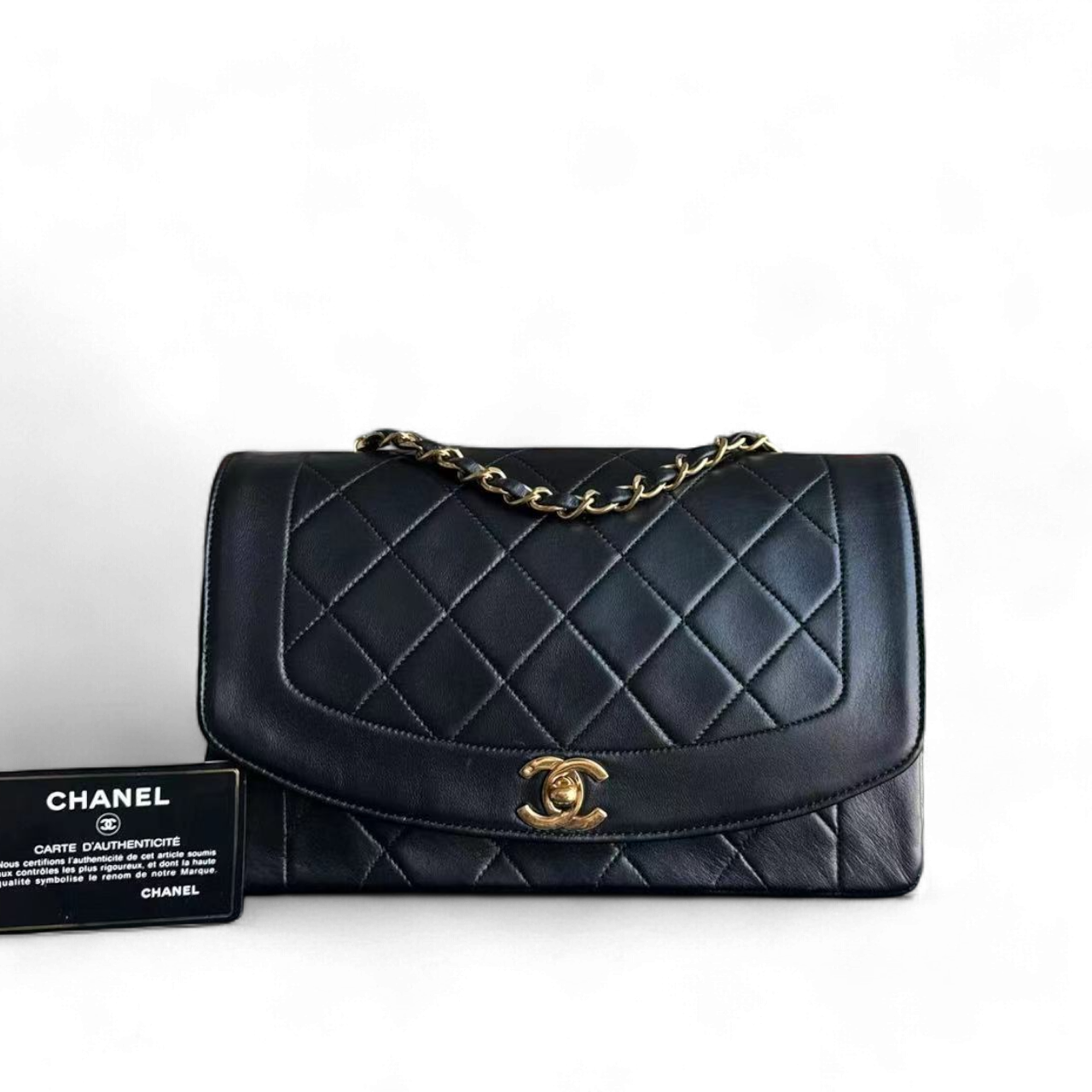 Chanel Handbag - EworeBags